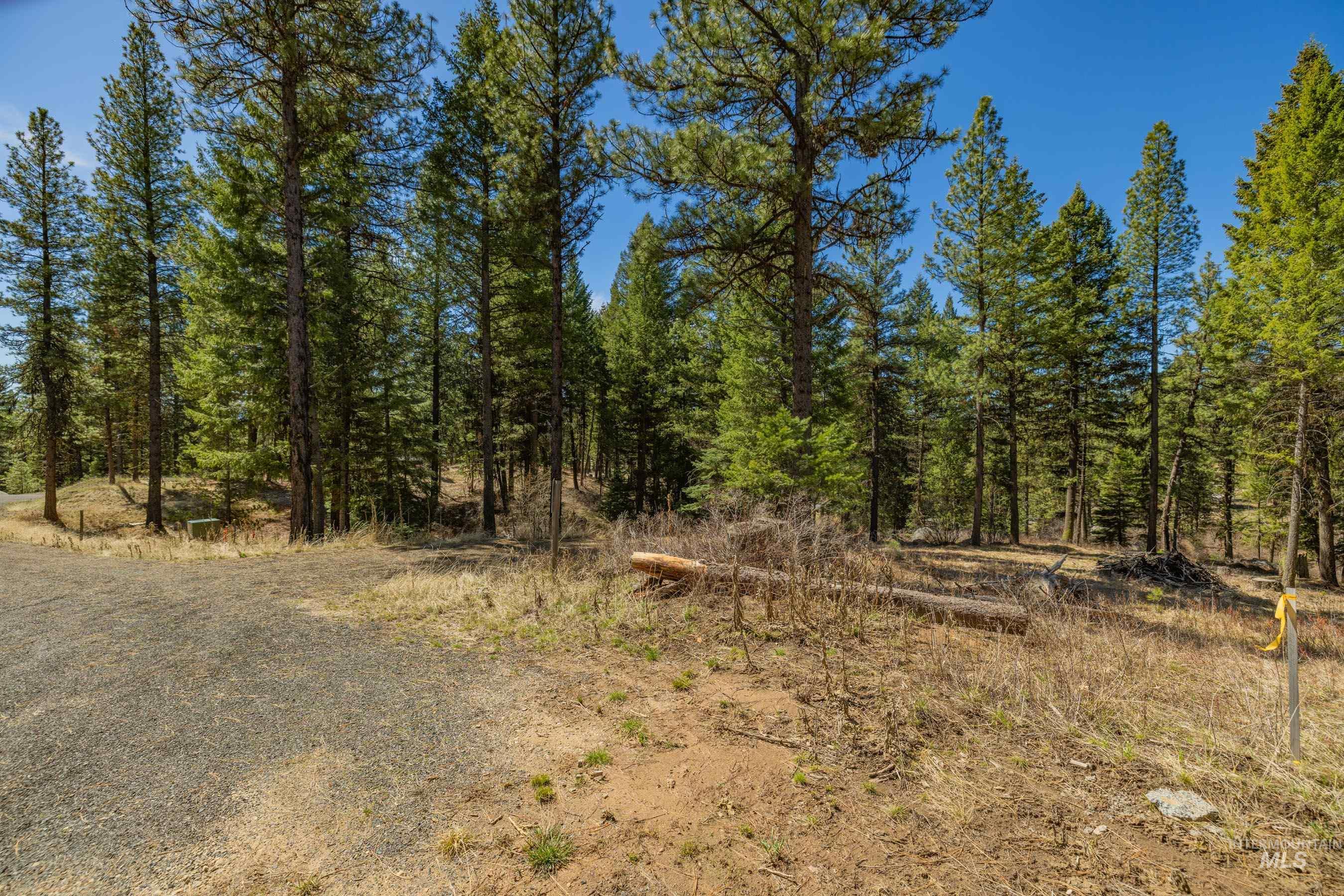 8 York Street, McCall, Idaho 83638, Land For Sale, Price $339,150, 98983837