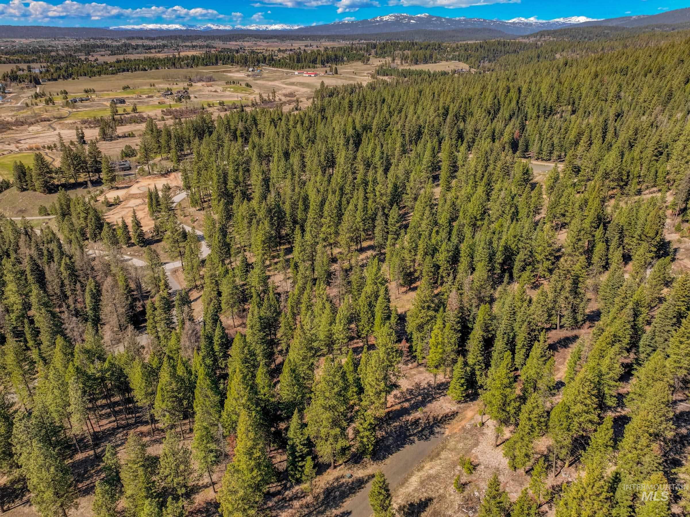 8 York Street, McCall, Idaho 83638, Land For Sale, Price $339,150, 98983837