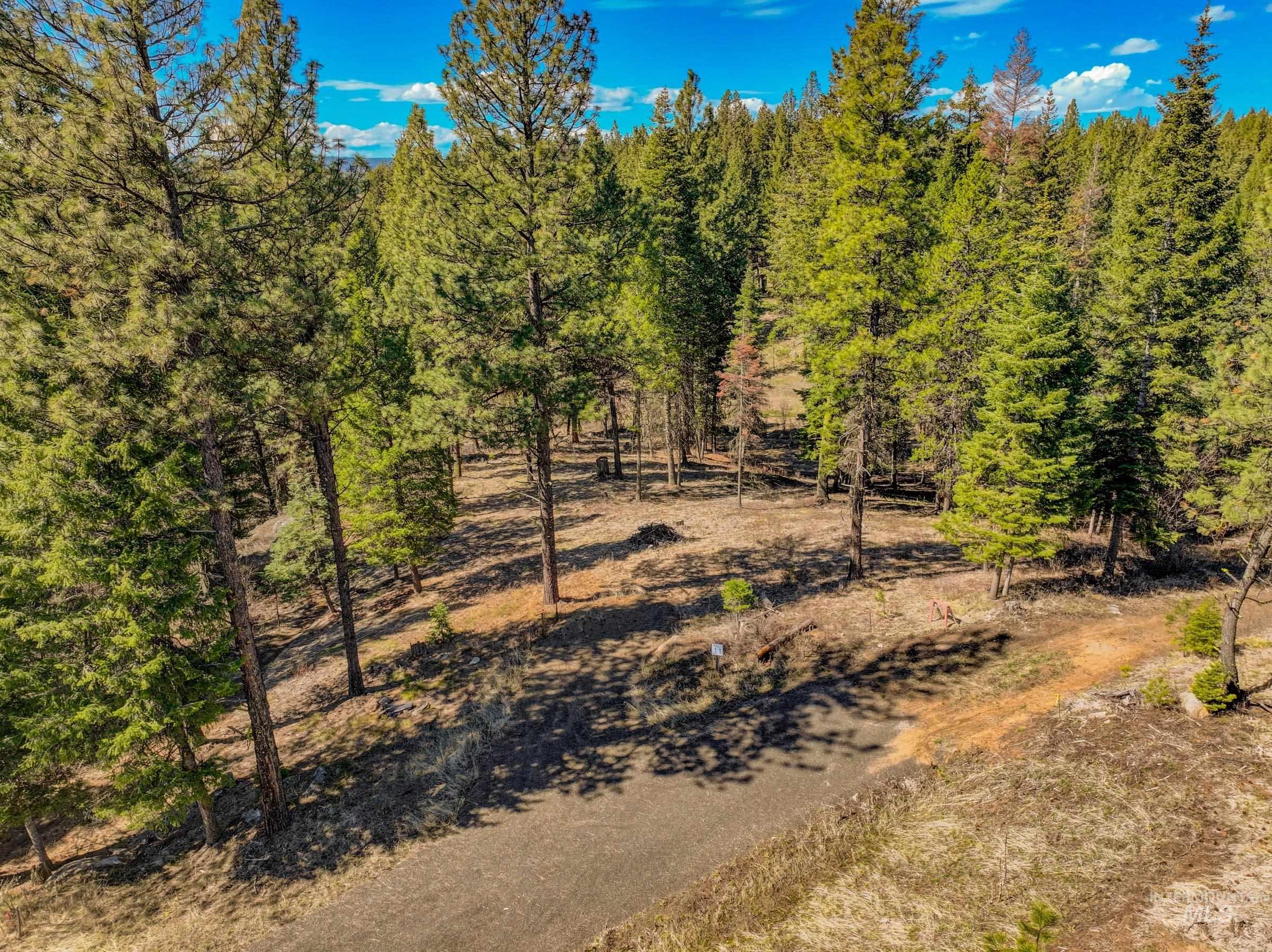 8 York Street, McCall, Idaho 83638, Land For Sale, Price $339,150, 98983837