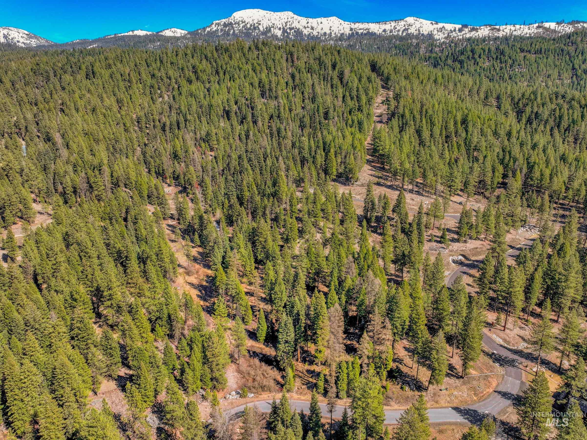 8 York Street, McCall, Idaho 83638, Land For Sale, Price $339,150, 98983837