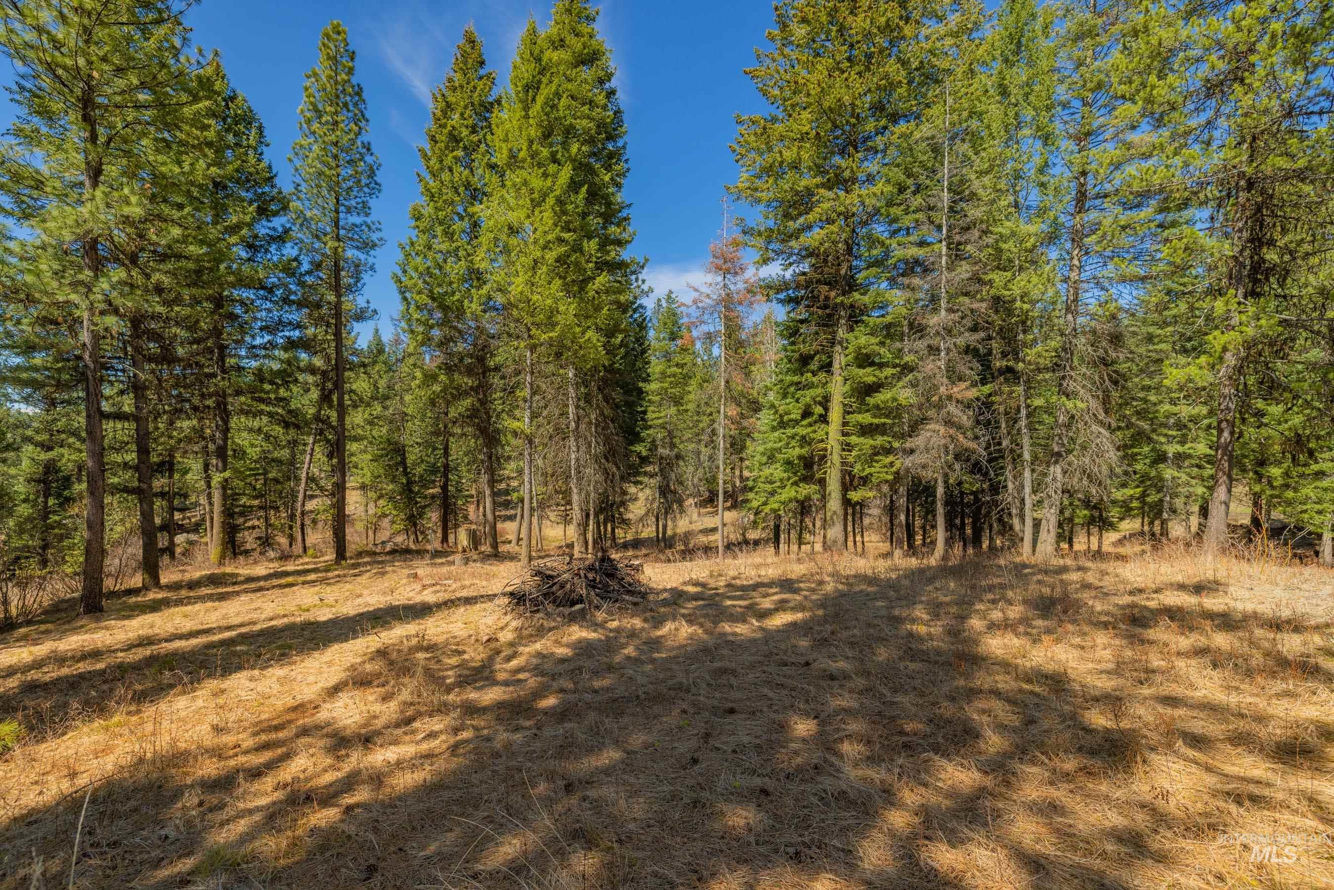 8 York Street, McCall, Idaho 83638, Land For Sale, Price $339,150, 98983837