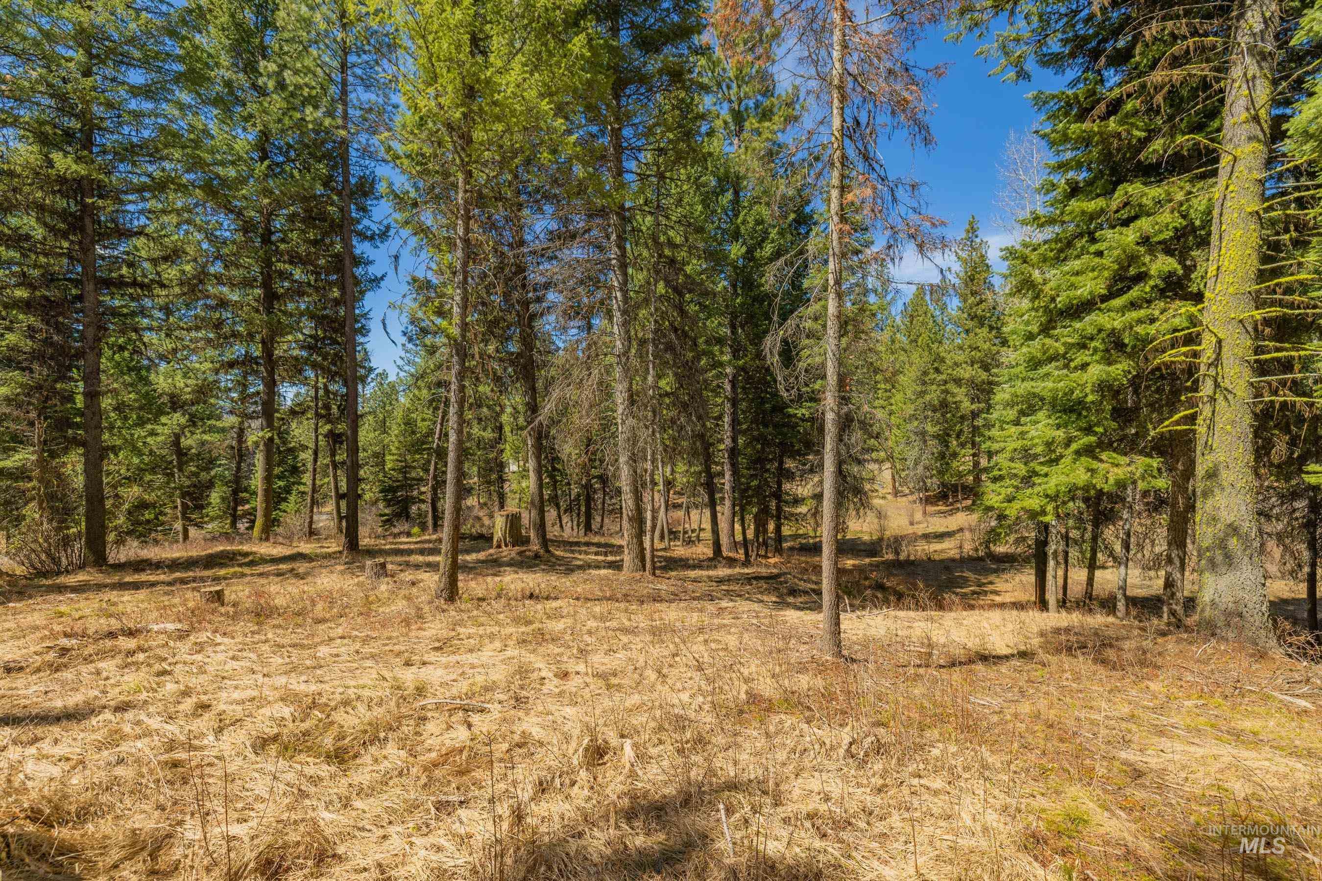 8 York Street, McCall, Idaho 83638, Land For Sale, Price $339,150, 98983837