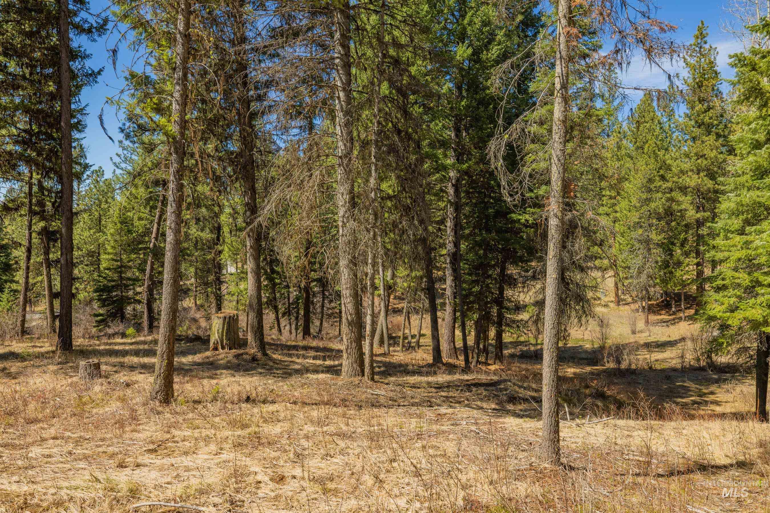 8 York Street, McCall, Idaho 83638, Land For Sale, Price $339,150, 98983837