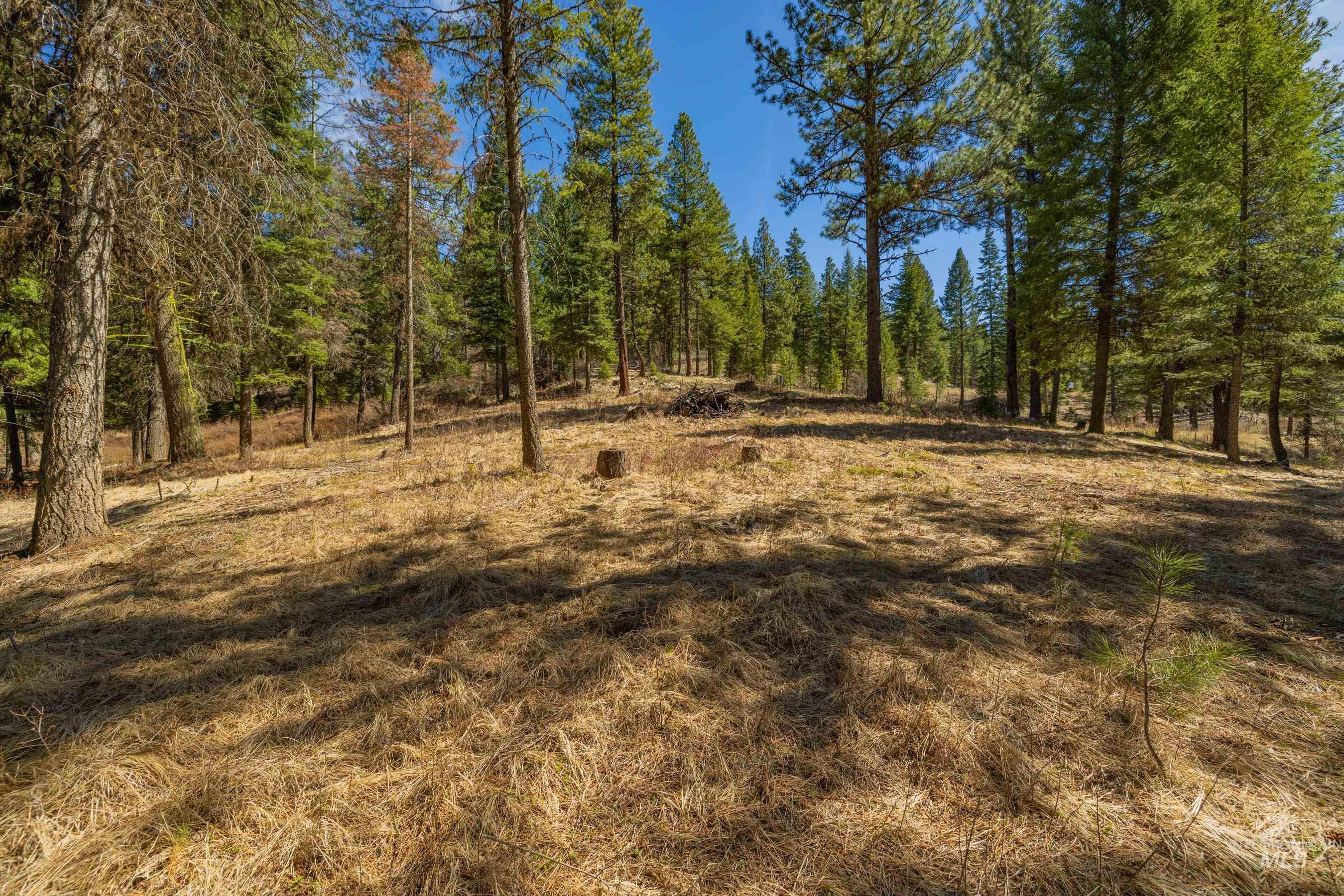 8 York Street, McCall, Idaho 83638, Land For Sale, Price $339,150, 98983837