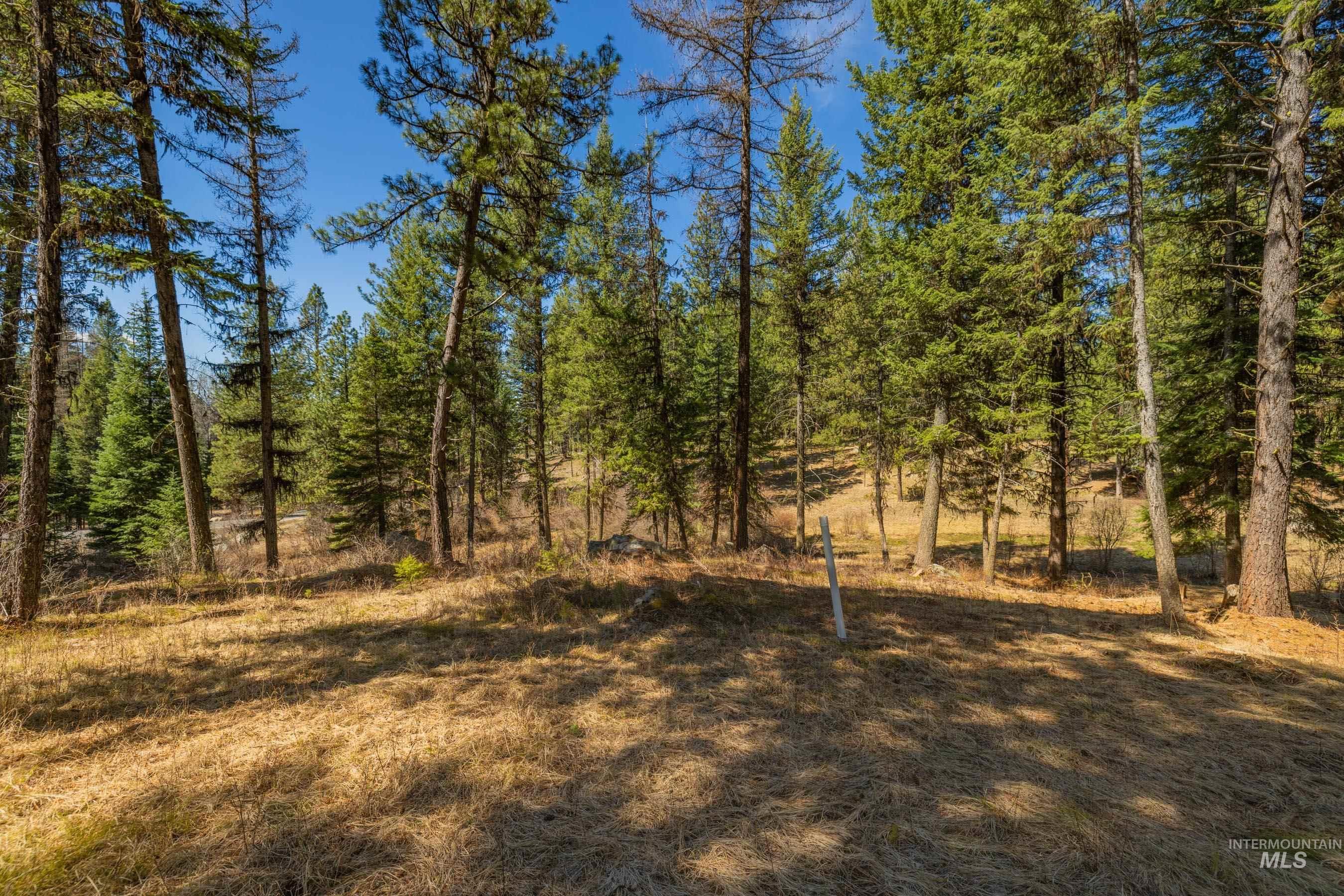 8 York Street, McCall, Idaho 83638, Land For Sale, Price $339,150, 98983837