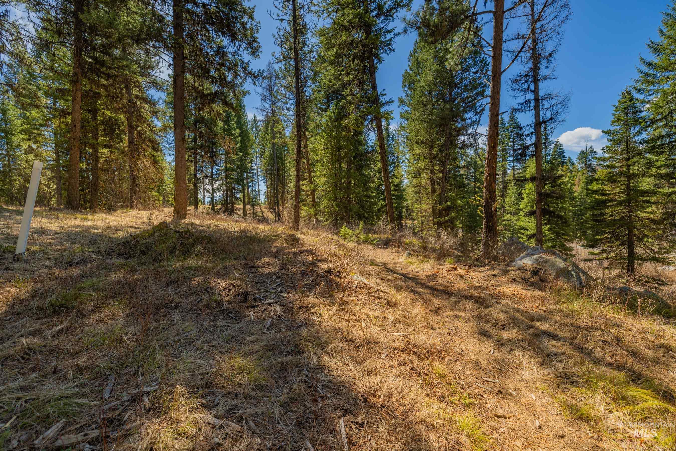 8 York Street, McCall, Idaho 83638, Land For Sale, Price $339,150, 98983837