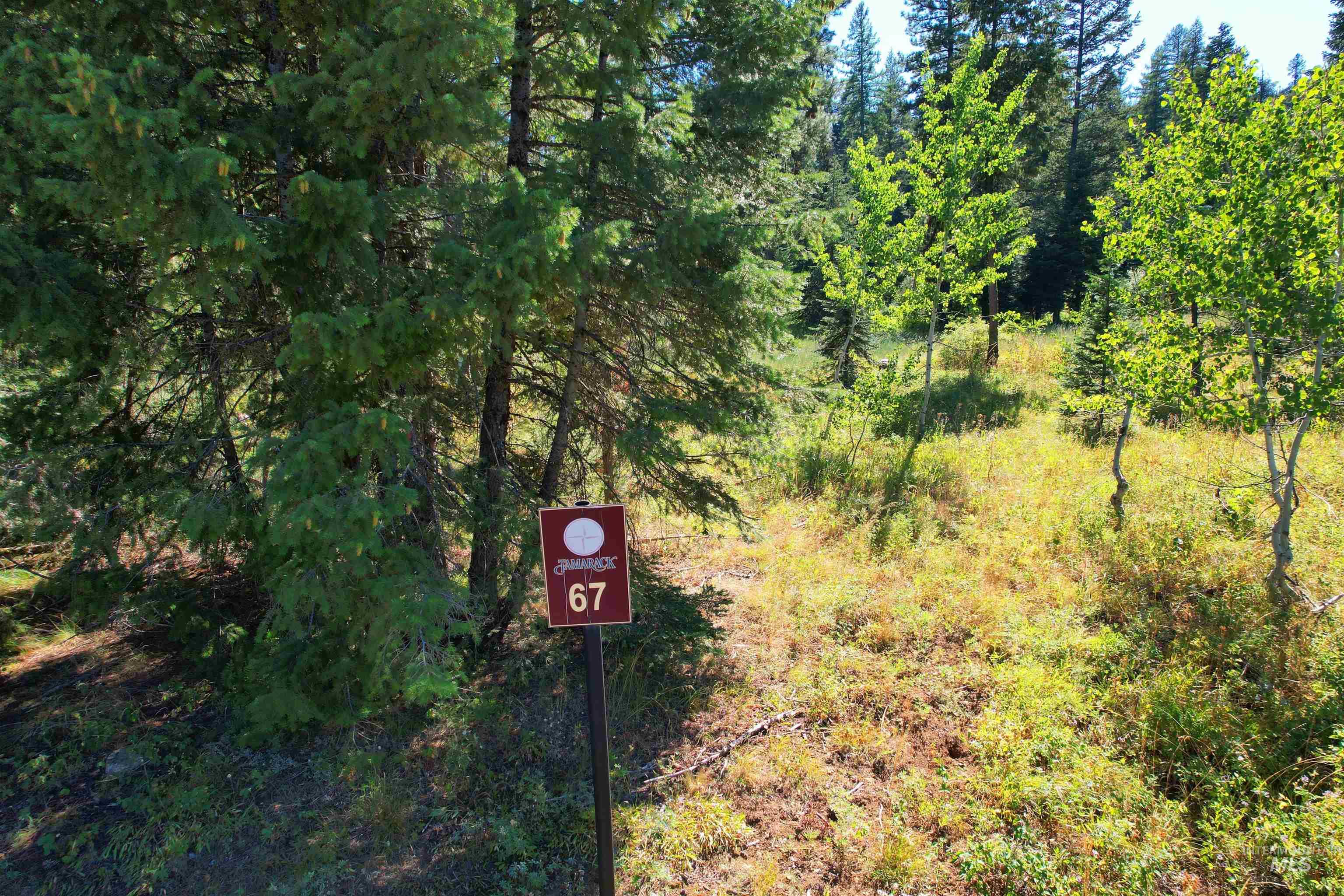 495 Discovery Drive, Donnelly, Idaho 83615, Land For Sale, Price $499,000, 98983839