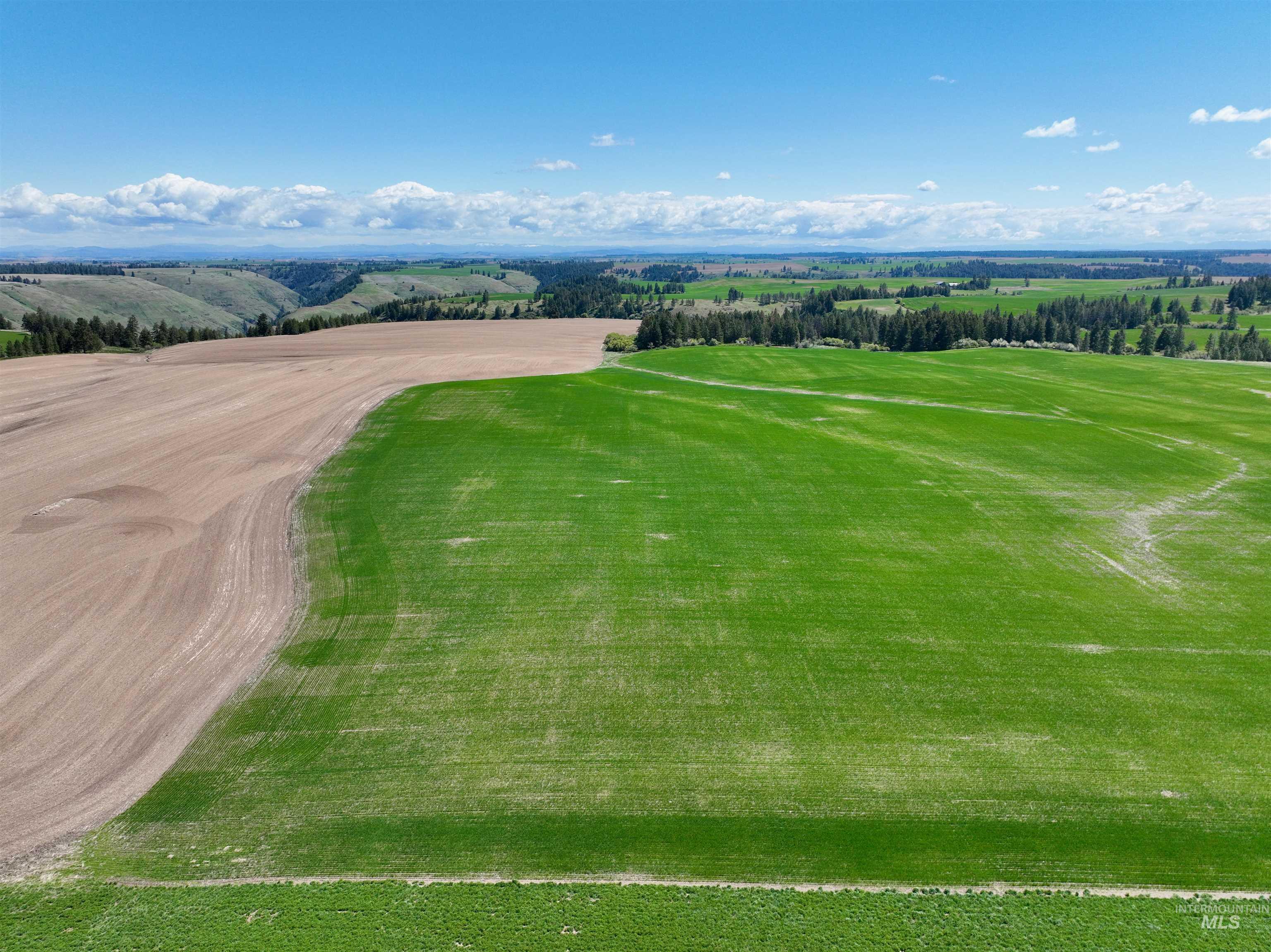 TBD Fowler Rd, Winchester, Idaho 83555, Land For Sale, Price $560,000, 98983846