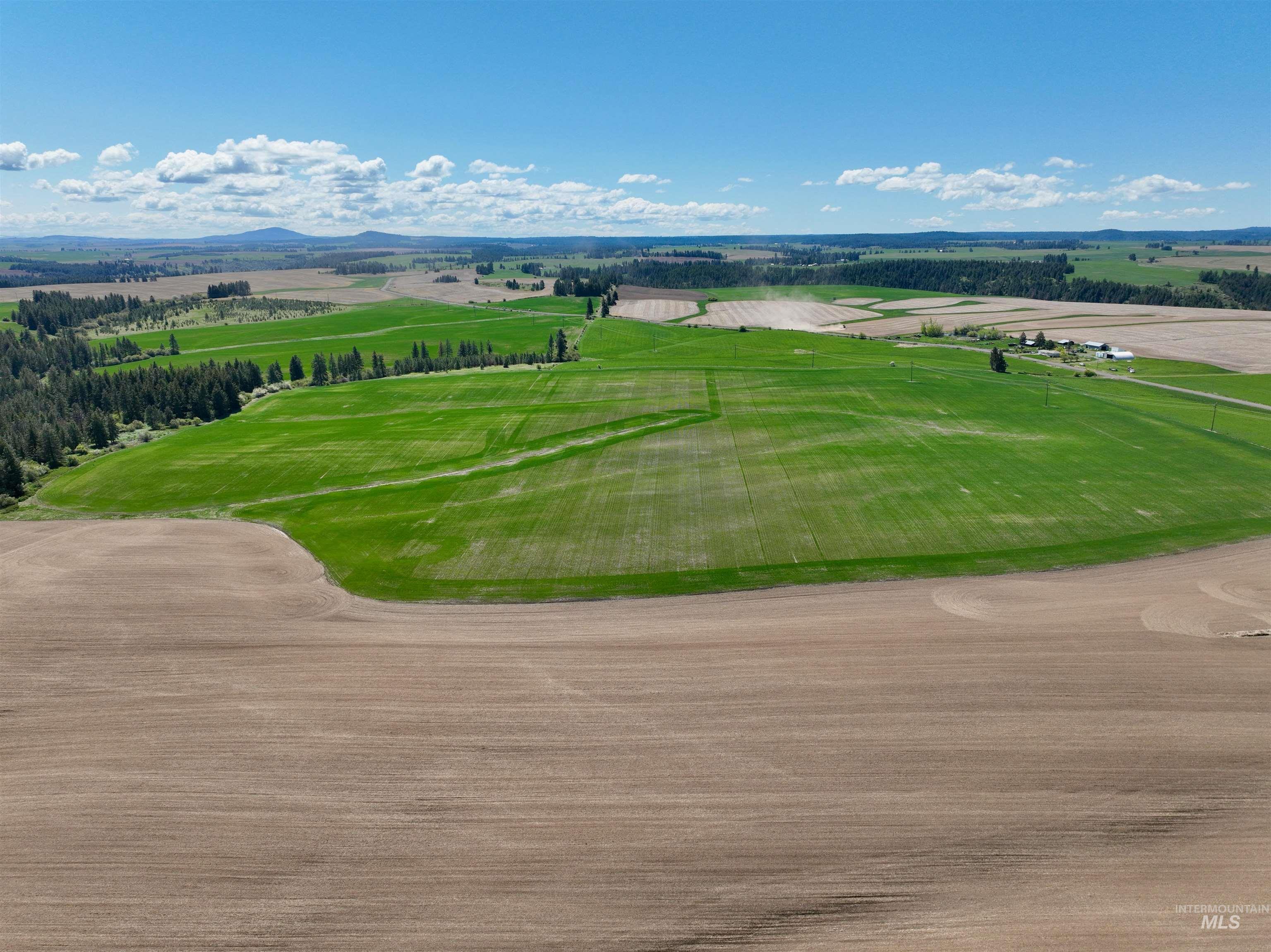 TBD Fowler Rd, Winchester, Idaho 83555, Land For Sale, Price $560,000, 98983846