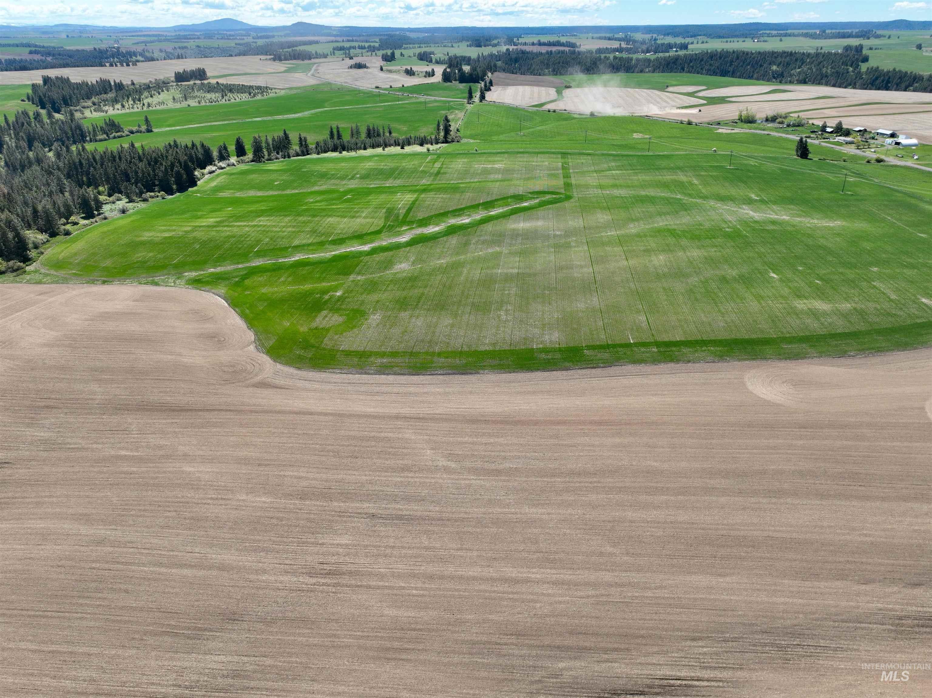 TBD Fowler Rd, Winchester, Idaho 83555, Land For Sale, Price $560,000, 98983846