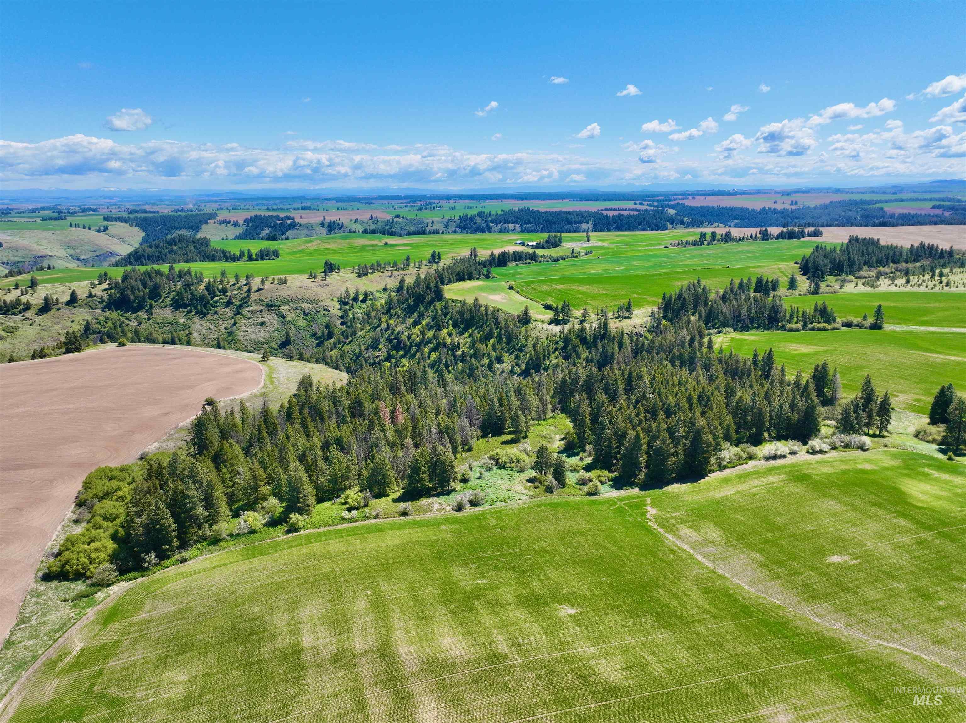 TBD Fowler Rd, Winchester, Idaho 83555, Land For Sale, Price $560,000, 98983846