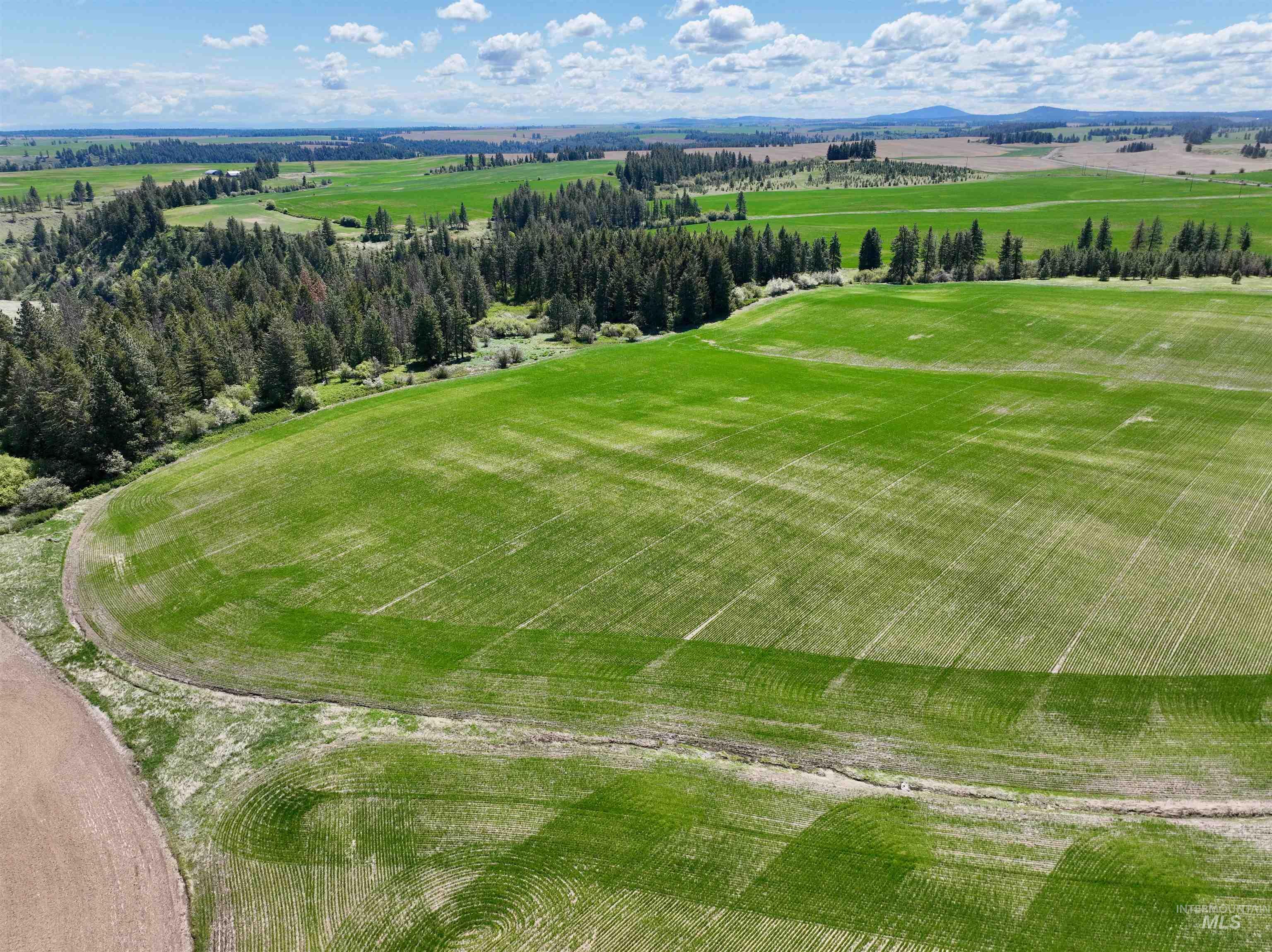 TBD Fowler Rd, Winchester, Idaho 83555, Land For Sale, Price $560,000, 98983846