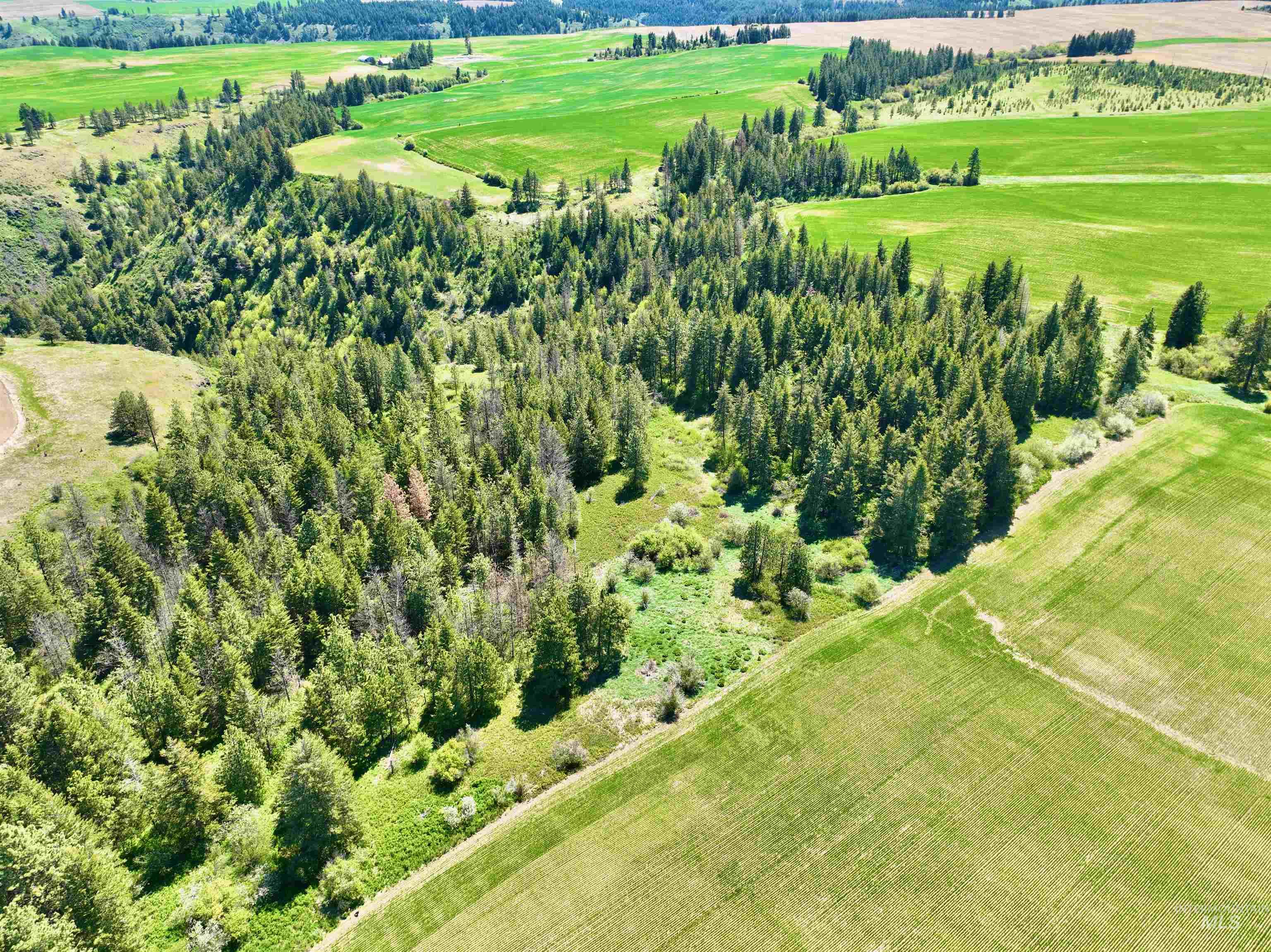 TBD Fowler Rd, Winchester, Idaho 83555, Land For Sale, Price $560,000, 98983847