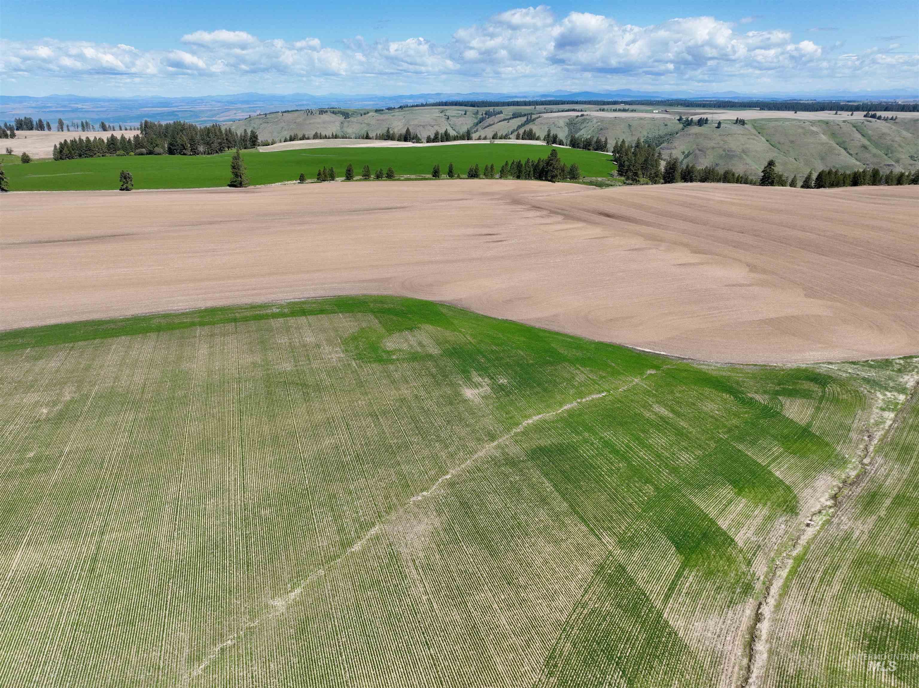 TBD Fowler Rd, Winchester, Idaho 83555, Land For Sale, Price $560,000, 98983847