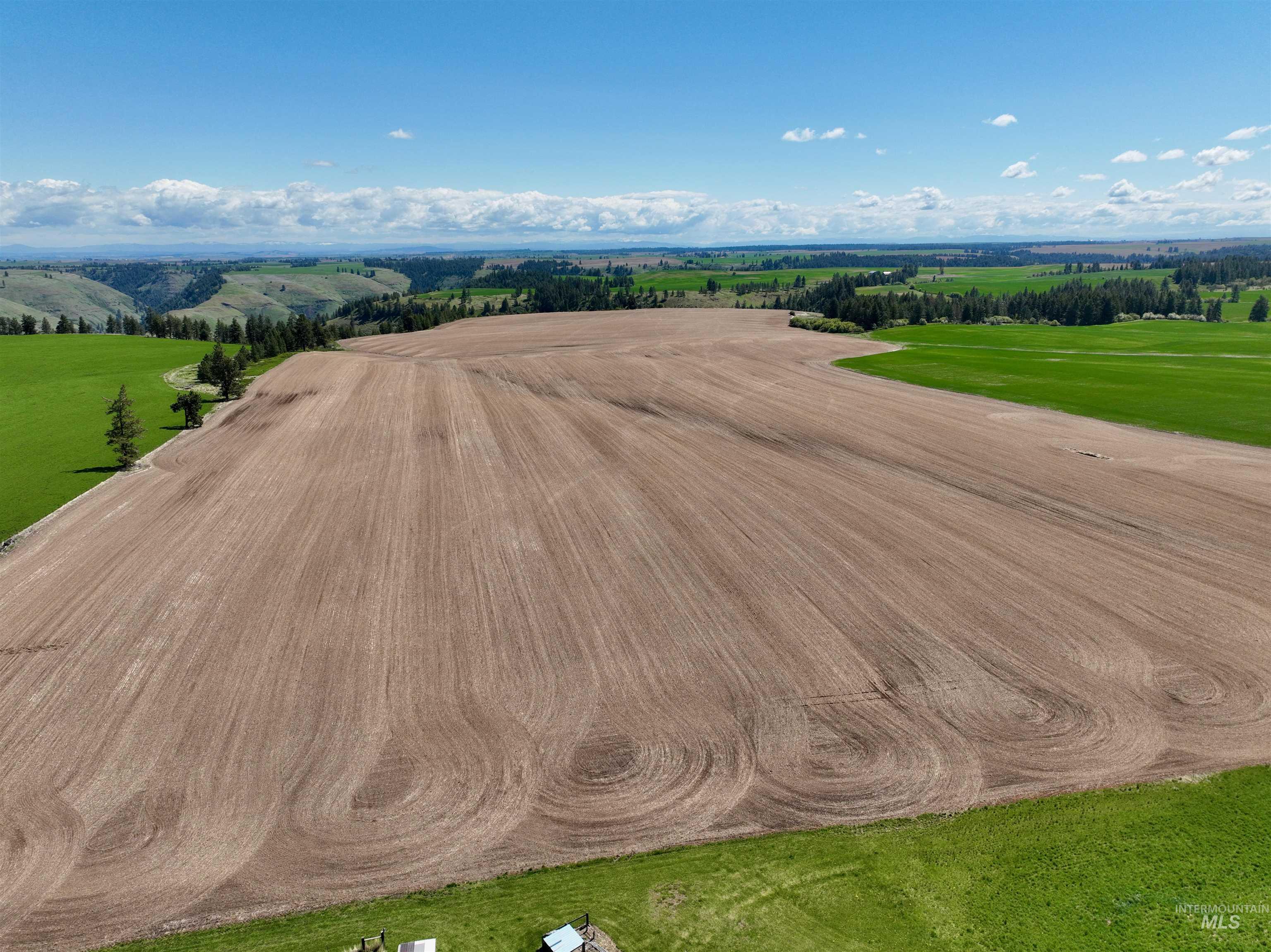 TBD Fowler Rd, Winchester, Idaho 83555, Land For Sale, Price $560,000, 98983847