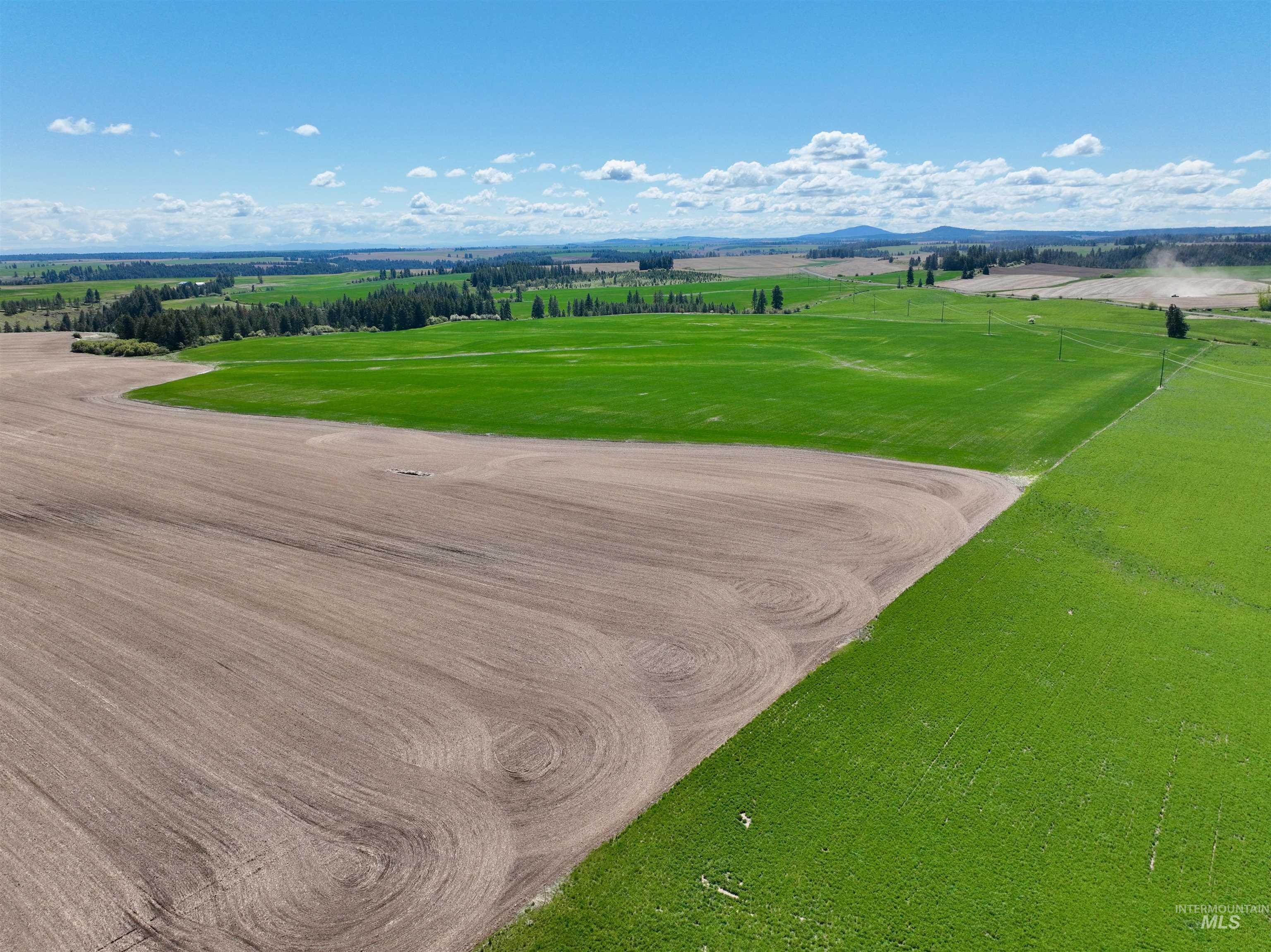 TBD Fowler Rd, Winchester, Idaho 83555, Land For Sale, Price $560,000, 98983847