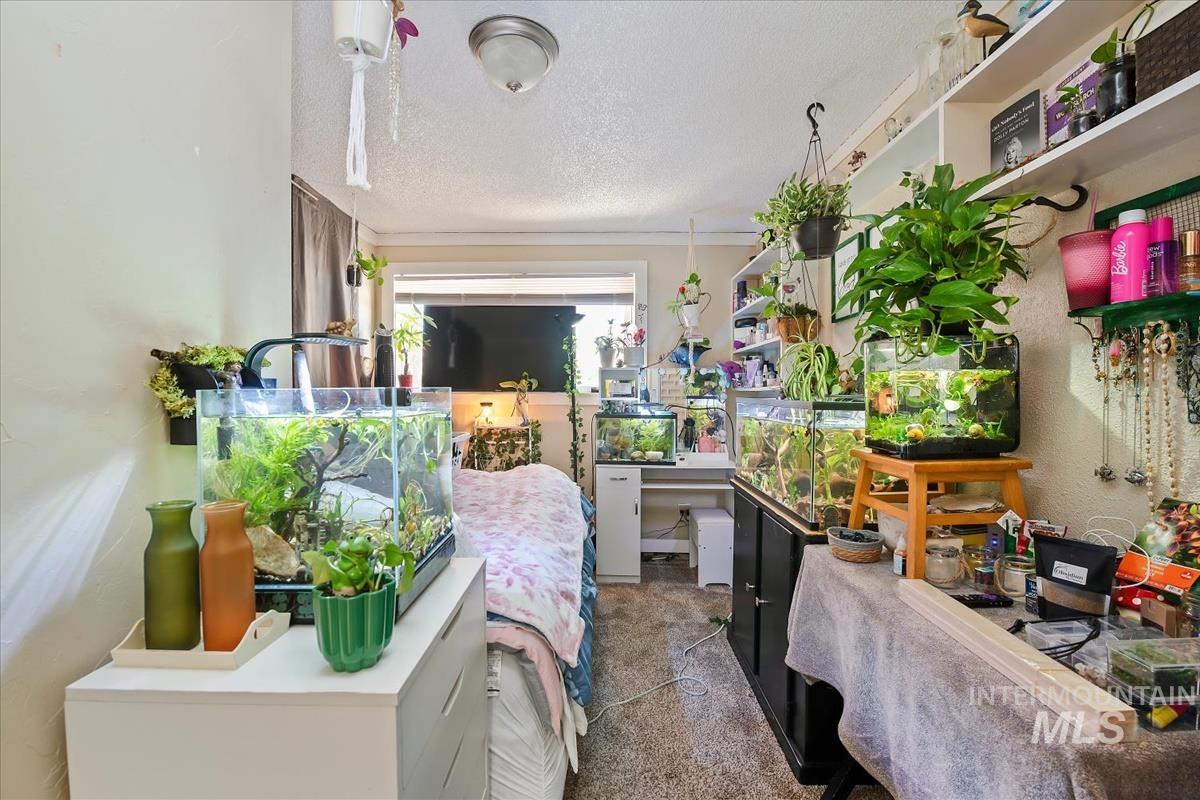 1320 S Holly, Nampa, Idaho 83686, 3 Bedrooms, 1.5 Bathrooms, Residential Income For Sale, Price $449,900,MLS 98983854