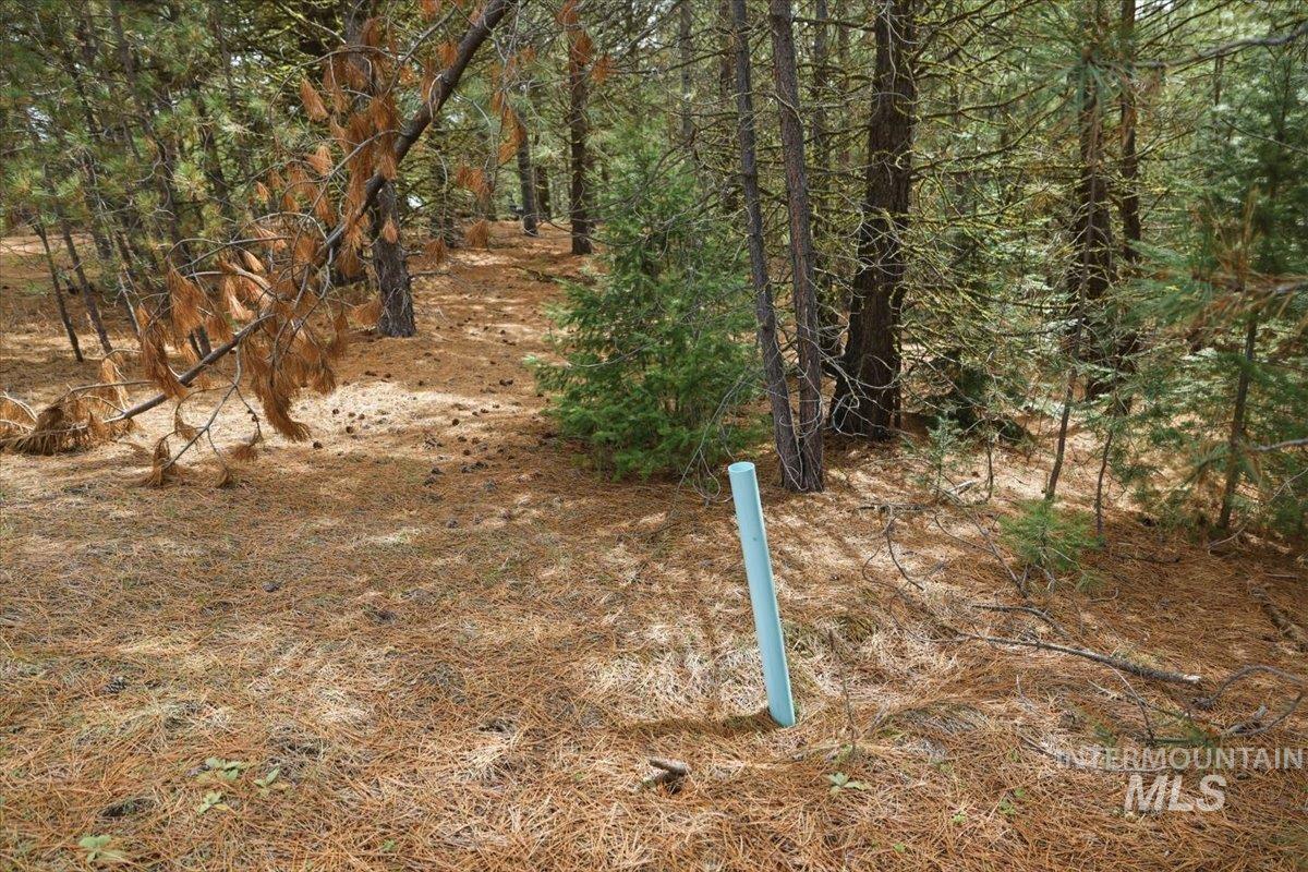 7 Carol Ct, Cascade, Idaho 83611, Land For Sale, Price $369,900, 98983861