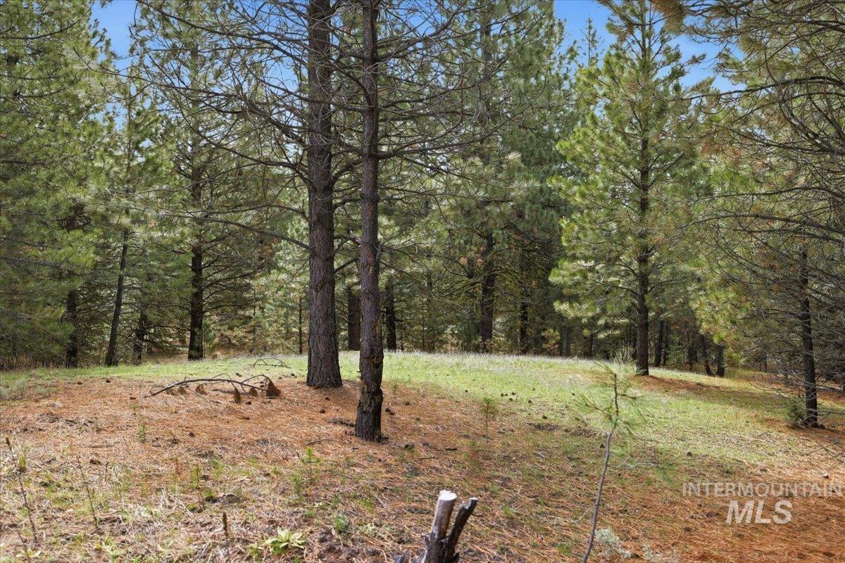 7 Carol Ct, Cascade, Idaho 83611, Land For Sale, Price $369,900, 98983861