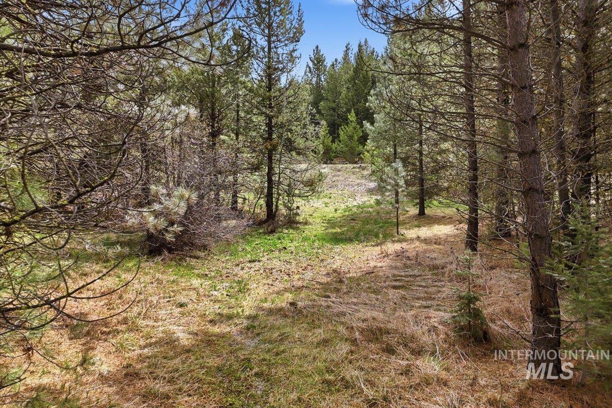 7 Carol Ct, Cascade, Idaho 83611, Land For Sale, Price $369,900, 98983861