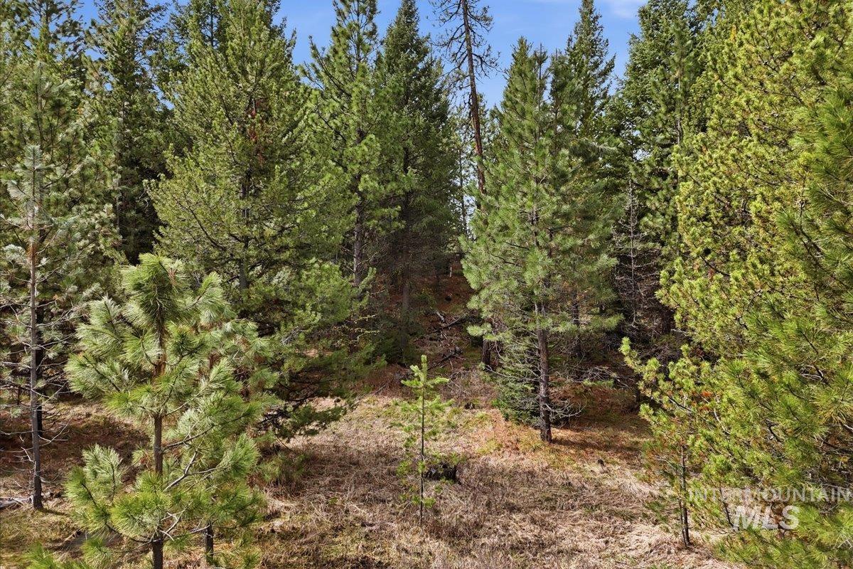 7 Carol Ct, Cascade, Idaho 83611, Land For Sale, Price $369,900, 98983861