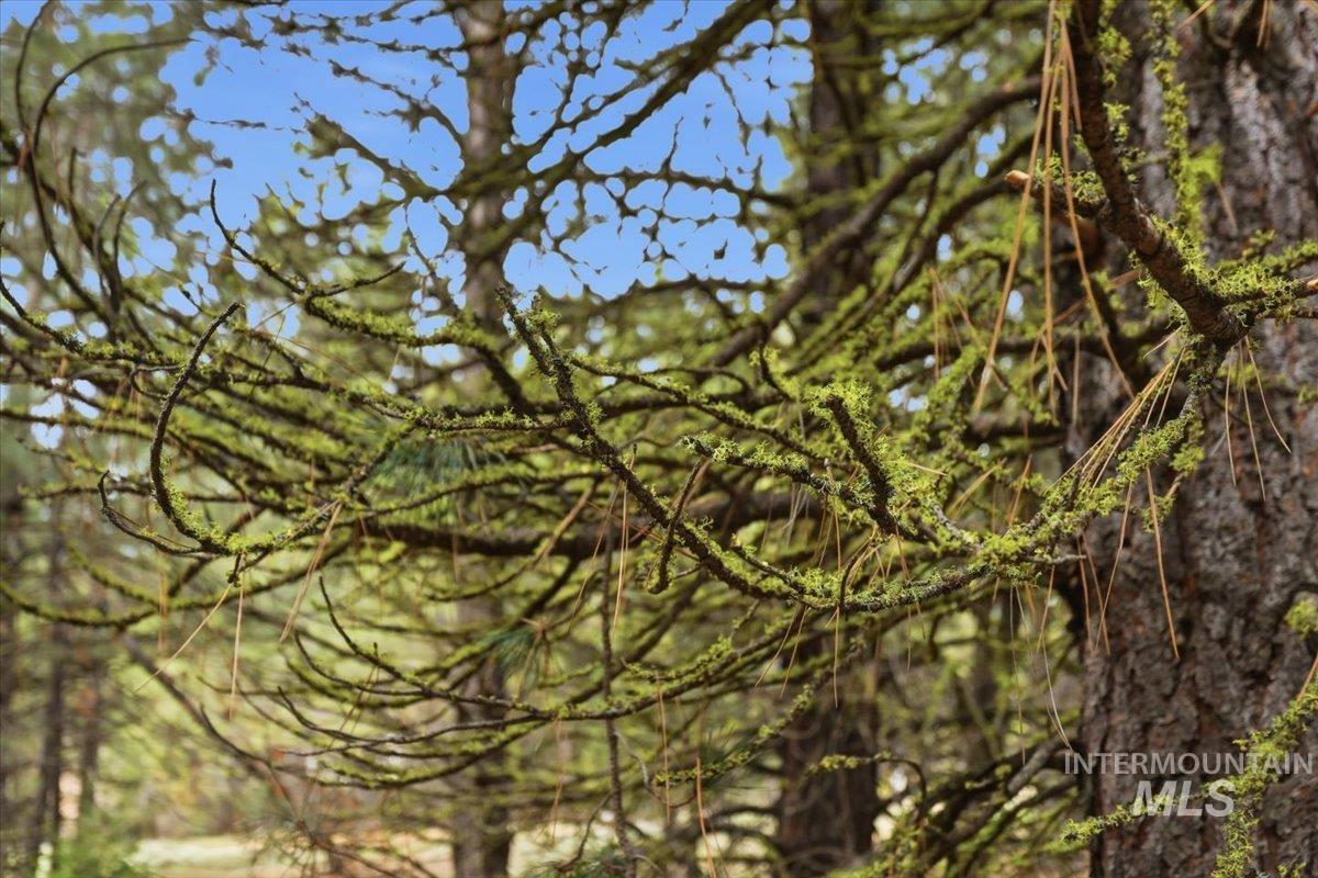 7 Carol Ct, Cascade, Idaho 83611, Land For Sale, Price $369,900, 98983861