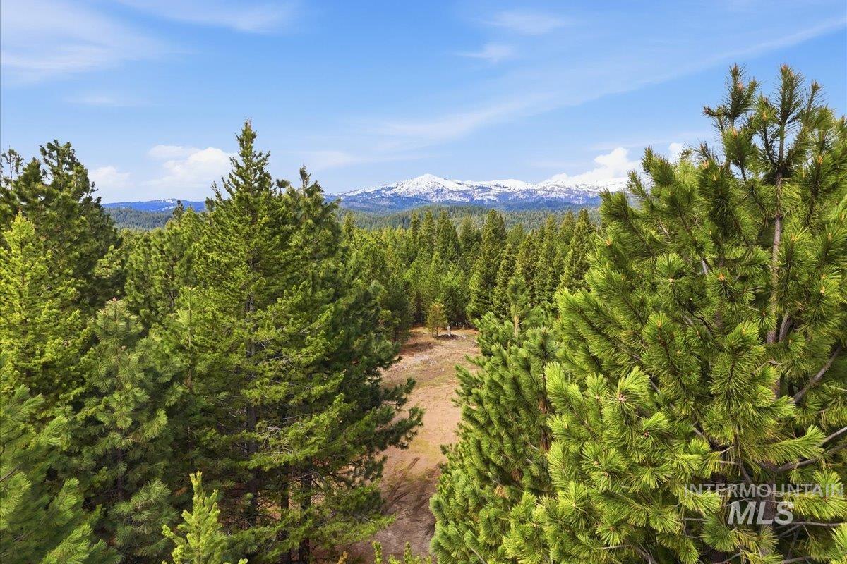 7 Carol Ct, Cascade, Idaho 83611, Land For Sale, Price $369,900, 98983861