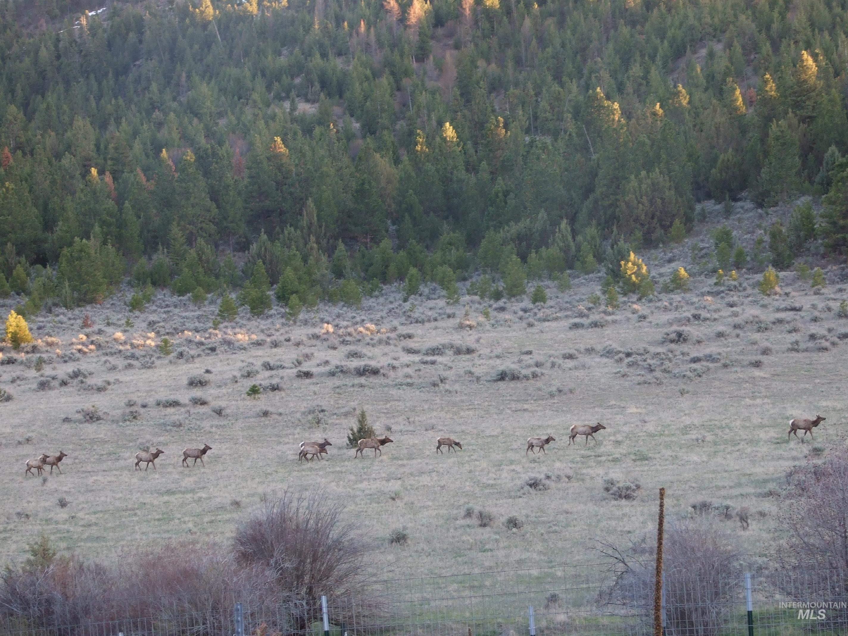 36020 Alder Creek Rd, Baker City, Oregon 97814, 3 Bedrooms, 2 Bathrooms, Residential For Sale, Price $1,050,000,MLS 98983870