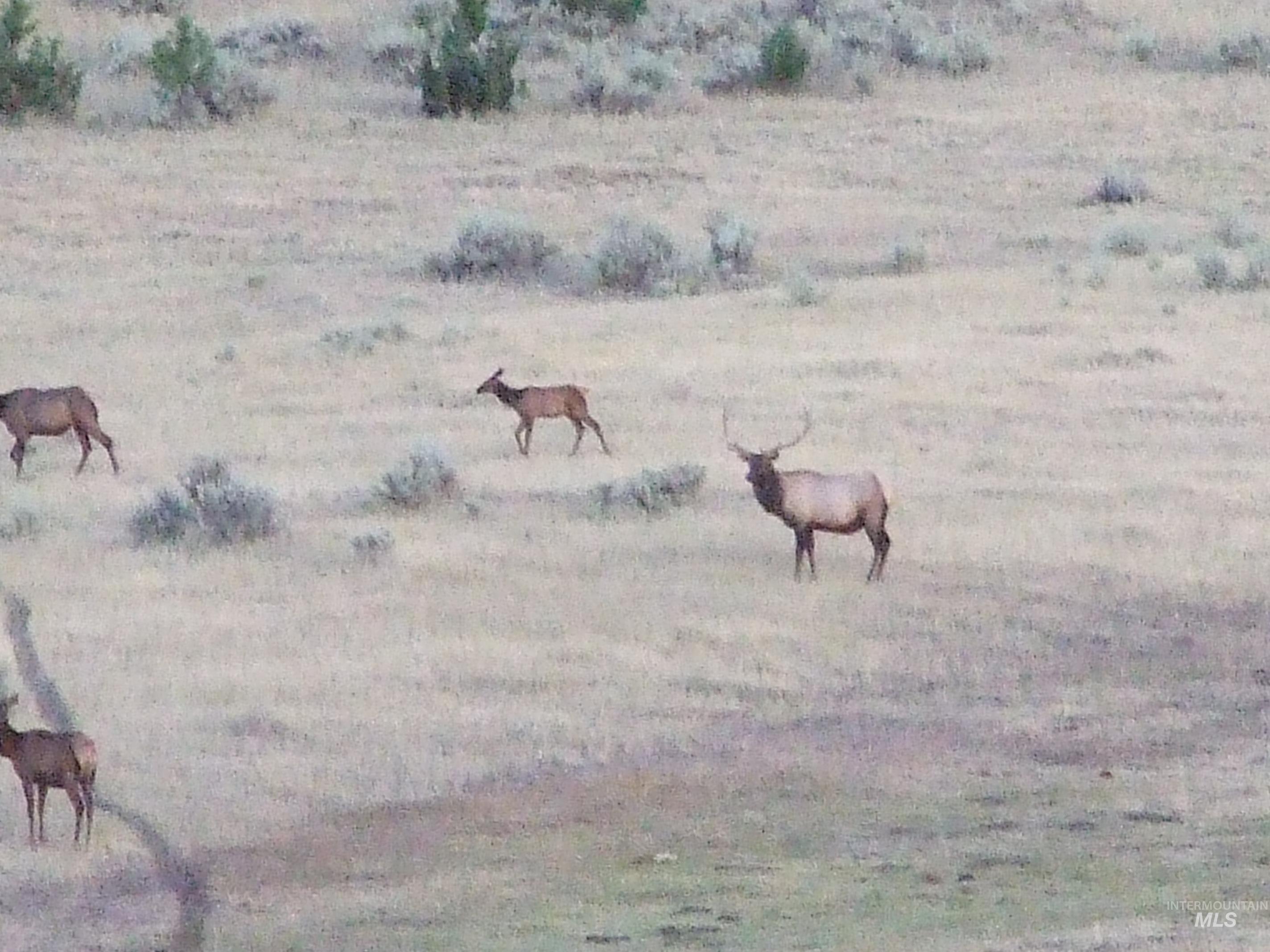 36020 Alder Creek Rd, Baker City, Oregon 97814, 3 Bedrooms, 2 Bathrooms, Residential For Sale, Price $1,050,000,MLS 98983870