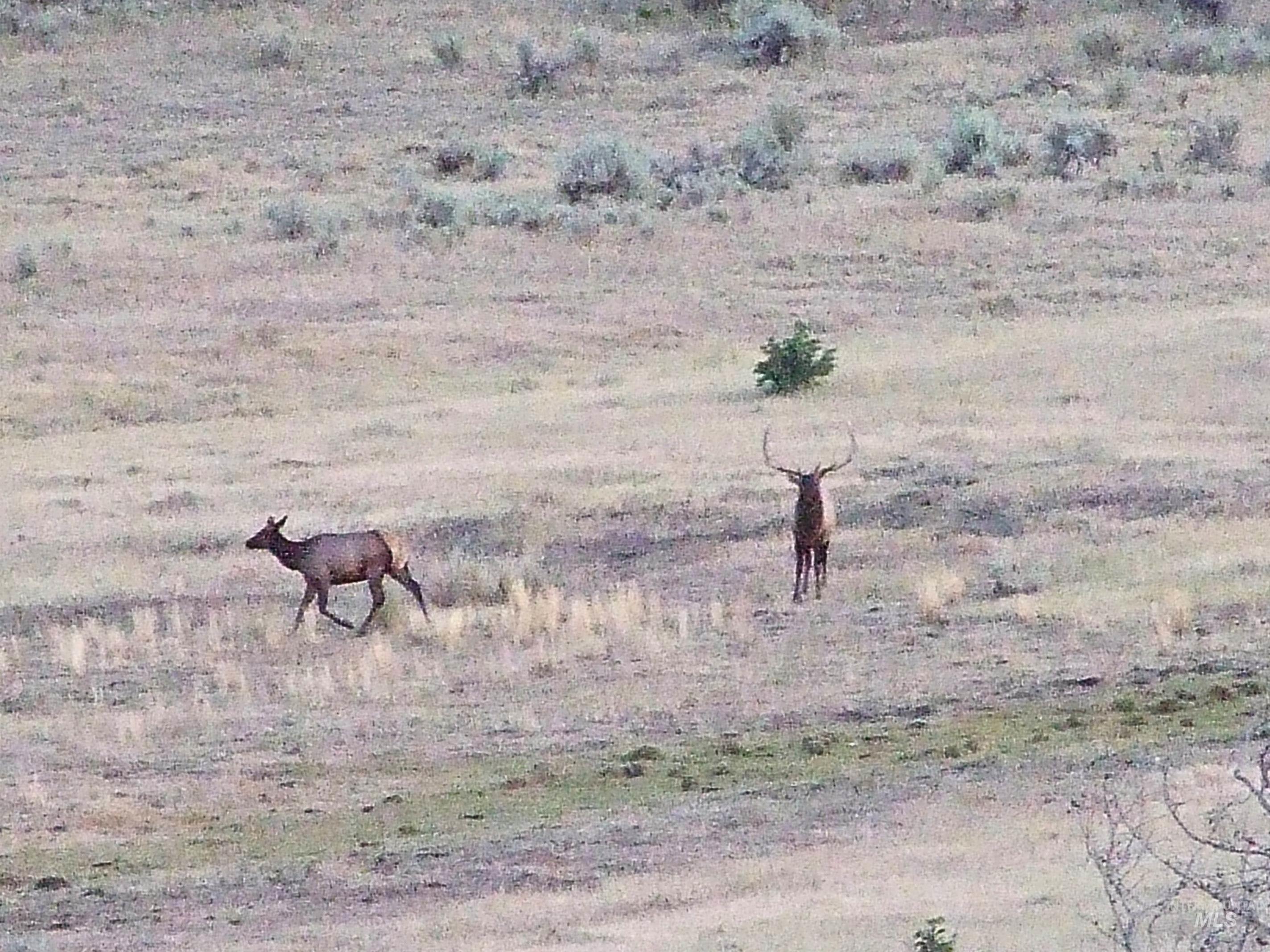 36020 Alder Creek Rd, Baker City, Oregon 97814, 3 Bedrooms, 2 Bathrooms, Residential For Sale, Price $1,050,000,MLS 98983870