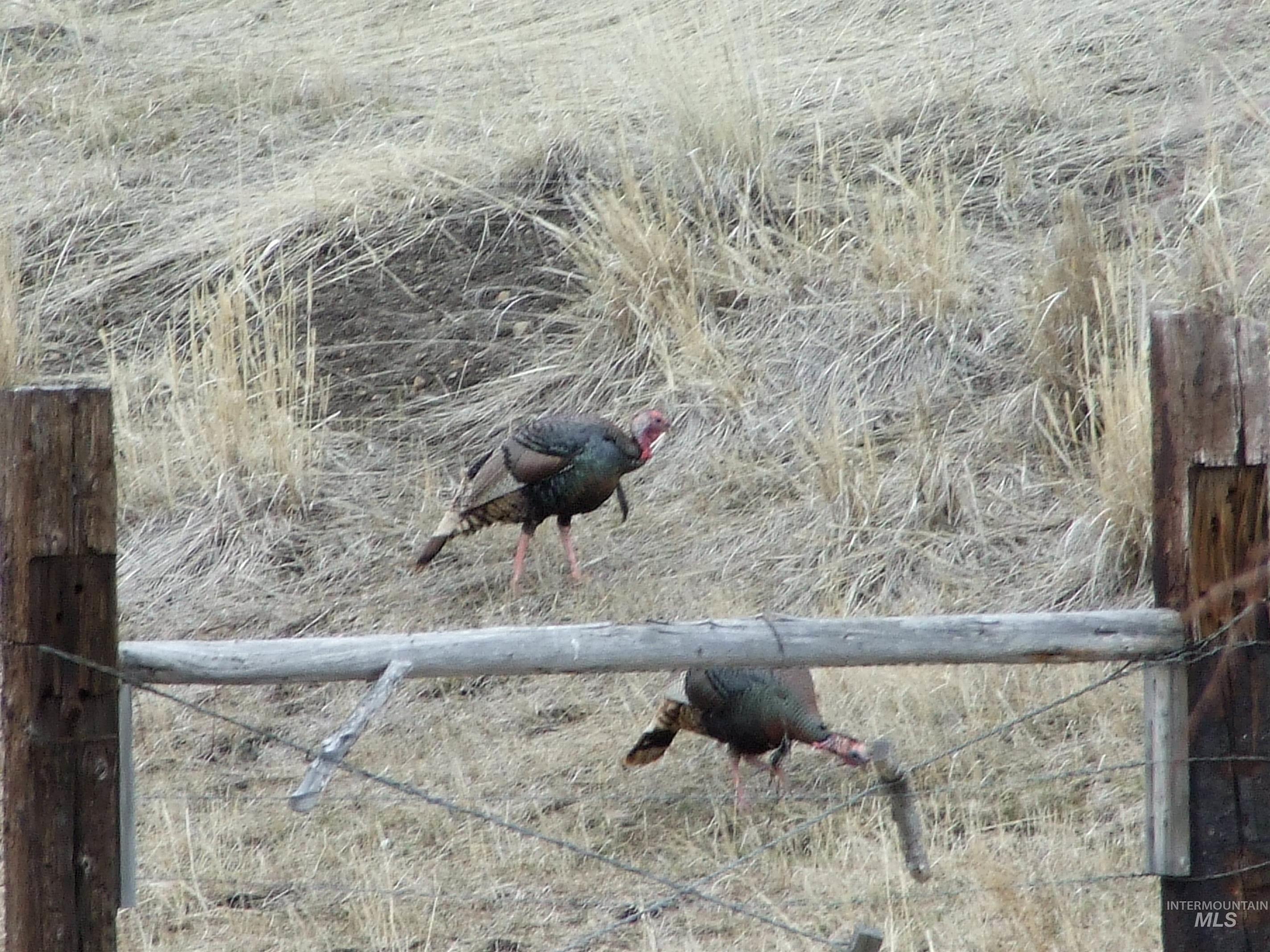 36020 Alder Creek Rd, Baker City, Oregon 97814, 3 Bedrooms, 2 Bathrooms, Residential For Sale, Price $1,050,000,MLS 98983870