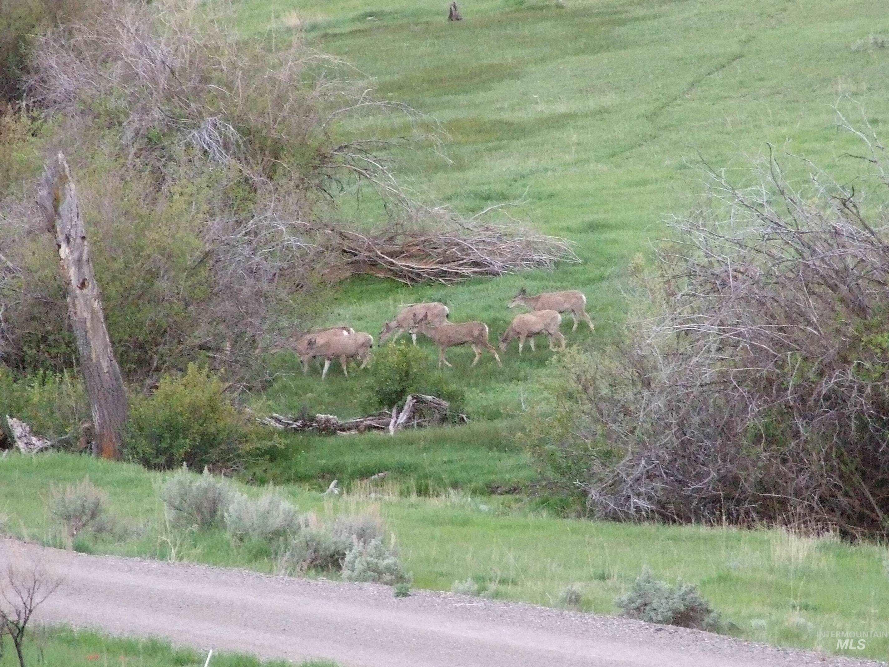 36020 Alder Creek Rd, Baker City, Oregon 97814, 3 Bedrooms, 2 Bathrooms, Residential For Sale, Price $1,050,000,MLS 98983870