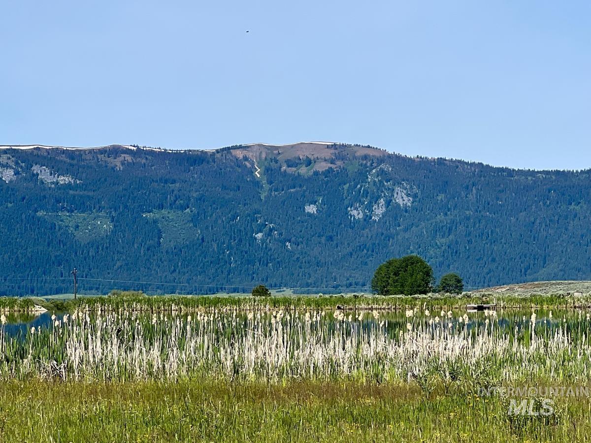 1765 Pine Lakes Ranch Drive, Cascade, Idaho 83611, Land For Sale, Price $279,000, 98983888