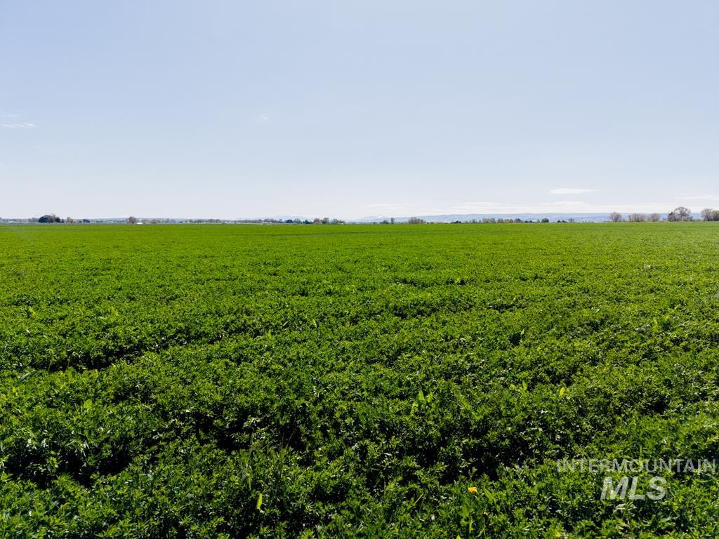 3046 E 3500 N, Twin Falls, Idaho 83301, 5 Bedrooms, 2 Bathrooms, Farm & Ranch For Sale, Price $2,350,000,MLS 98983904