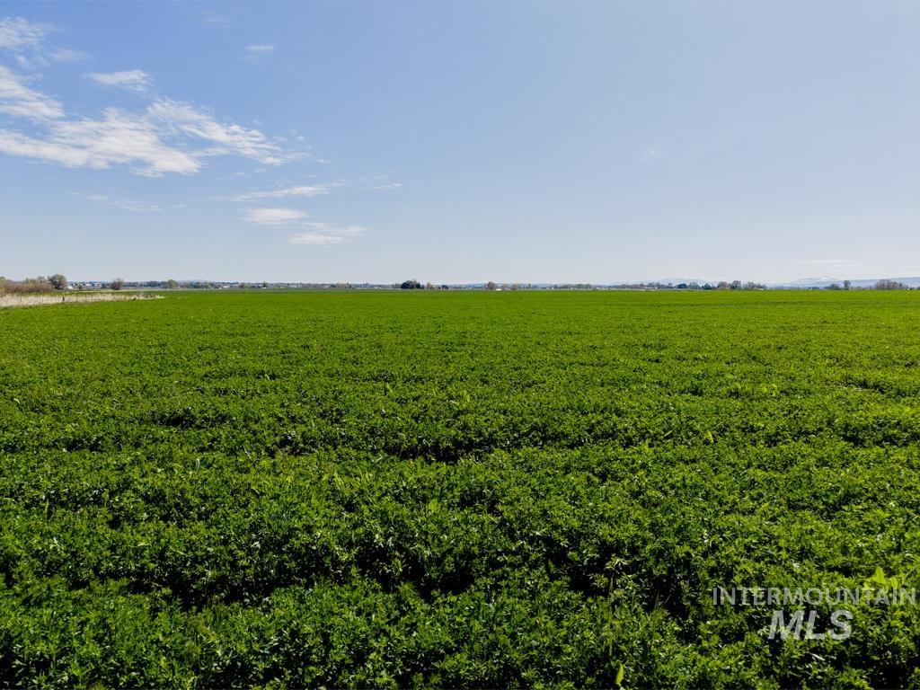 3046 E 3500 N, Twin Falls, Idaho 83301, 5 Bedrooms, 2 Bathrooms, Farm & Ranch For Sale, Price $2,350,000,MLS 98983904