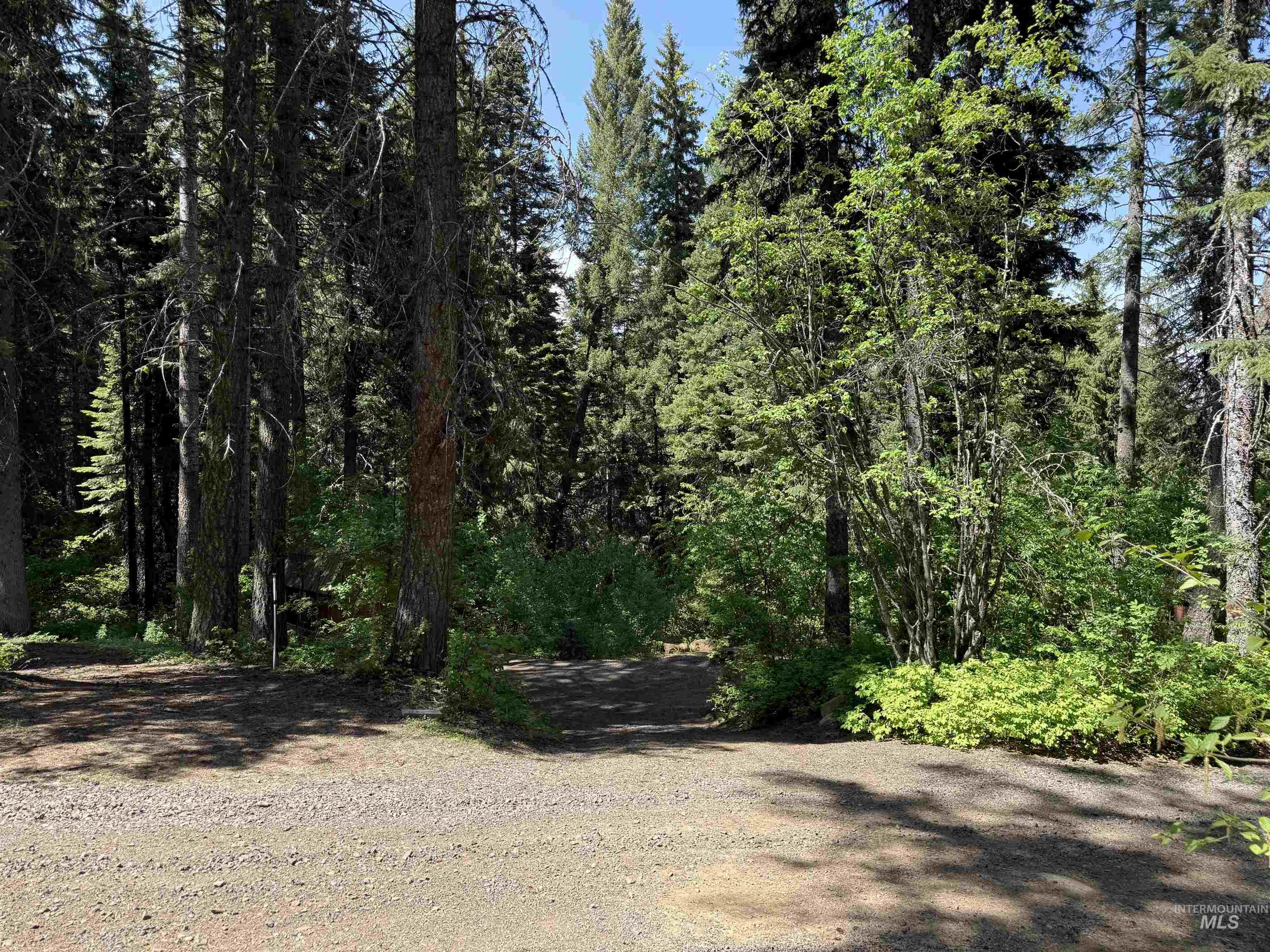 24 Wapiti Dr, Cascade, Idaho 83611, Land For Sale, Price $239,000,MLS 98983916