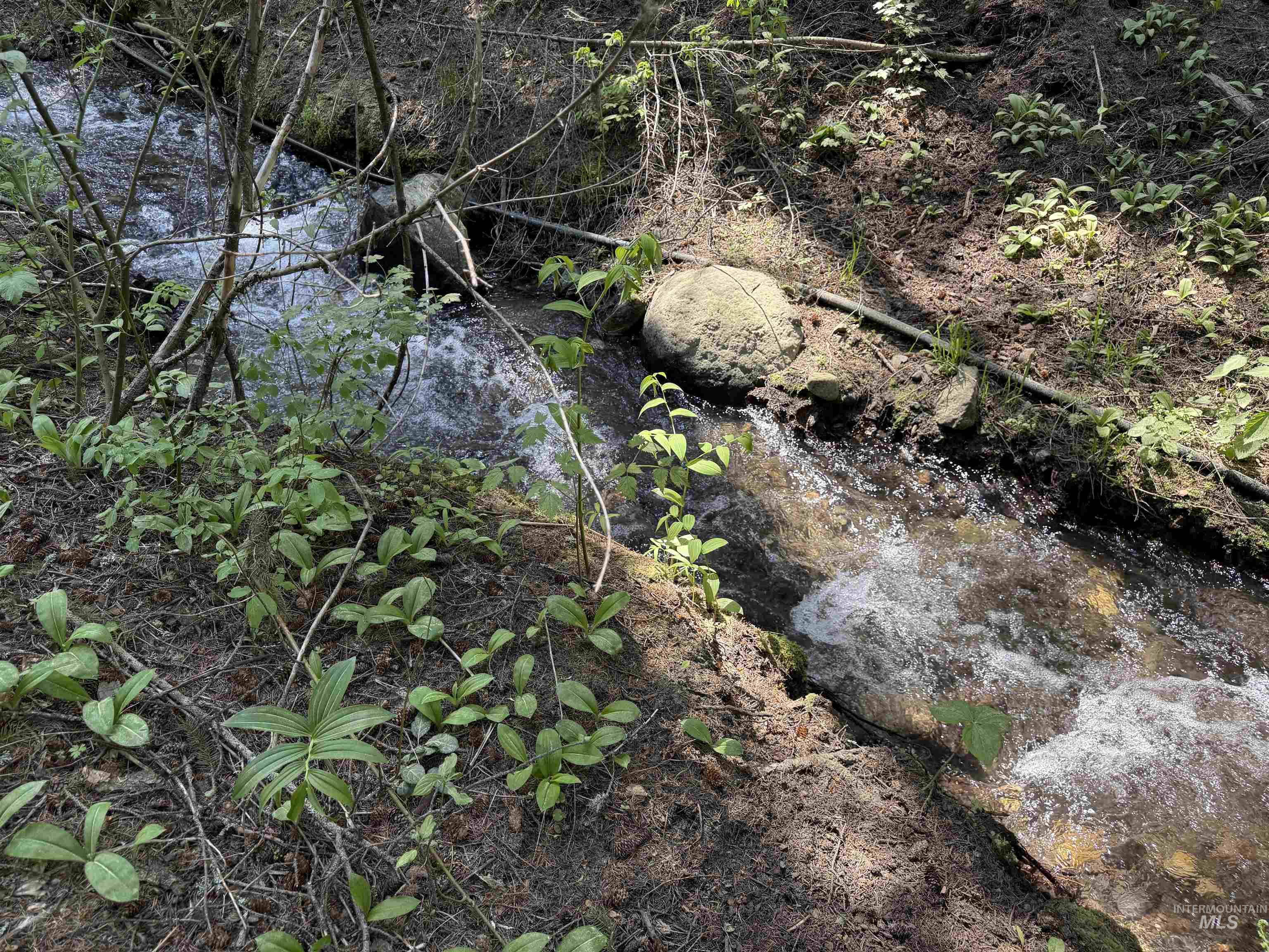 24 Wapiti Dr, Cascade, Idaho 83611, Land For Sale, Price $239,000,MLS 98983916