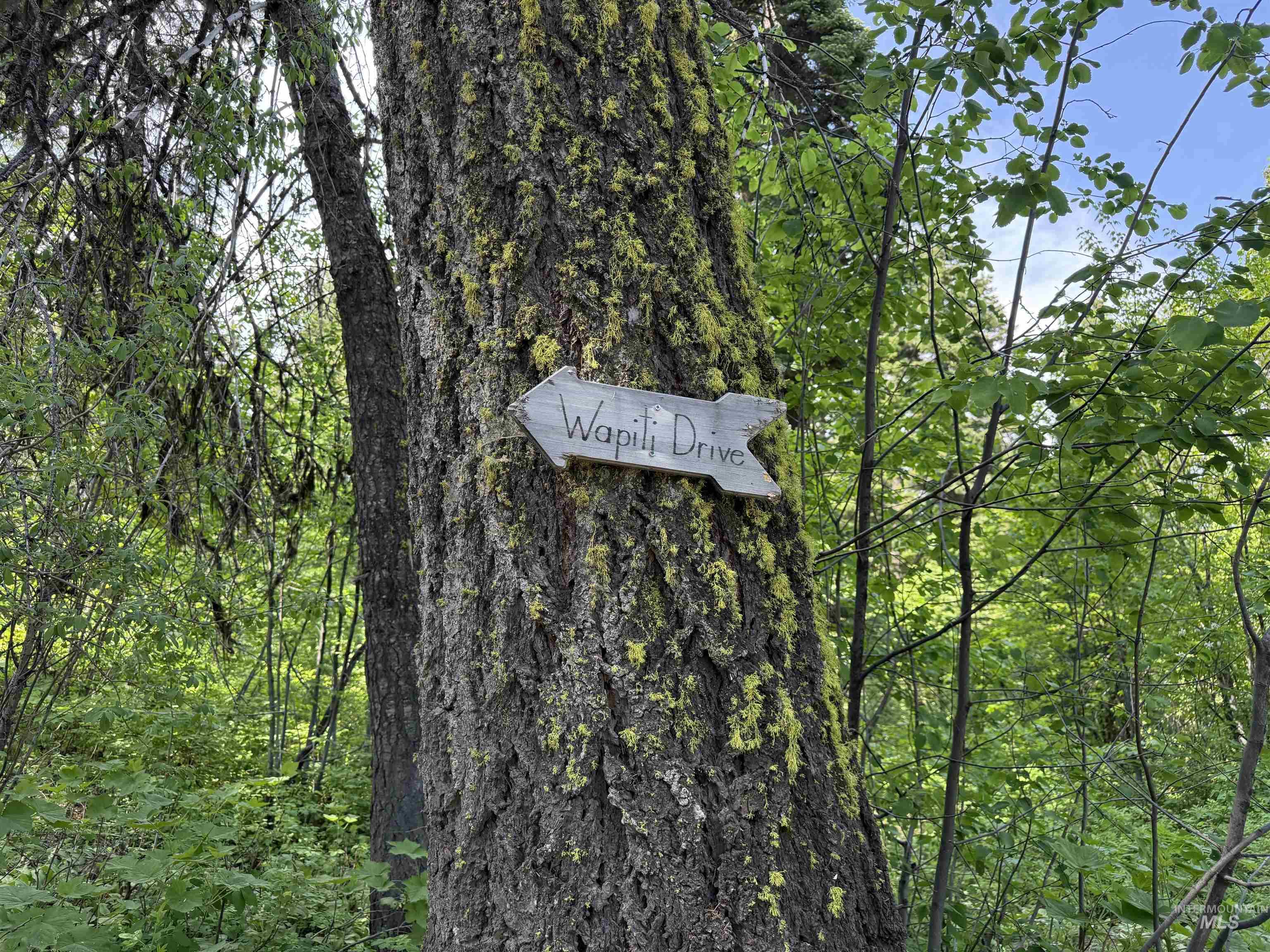 24 Wapiti Dr, Cascade, Idaho 83611, Land For Sale, Price $239,000,MLS 98983916