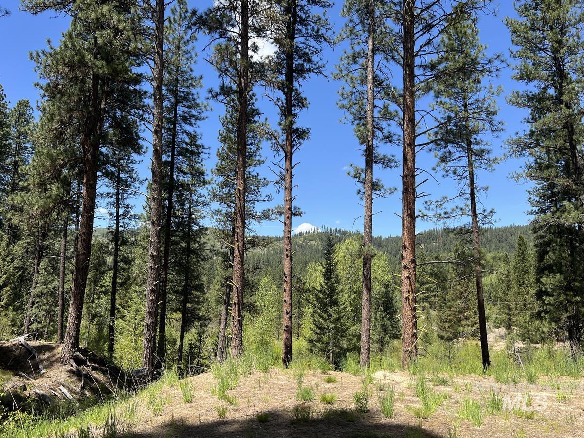 L16 B1 Shaw Gulch Road, Idaho City, Idaho 83631, Land For Sale, Price $279,900,MLS 98983917