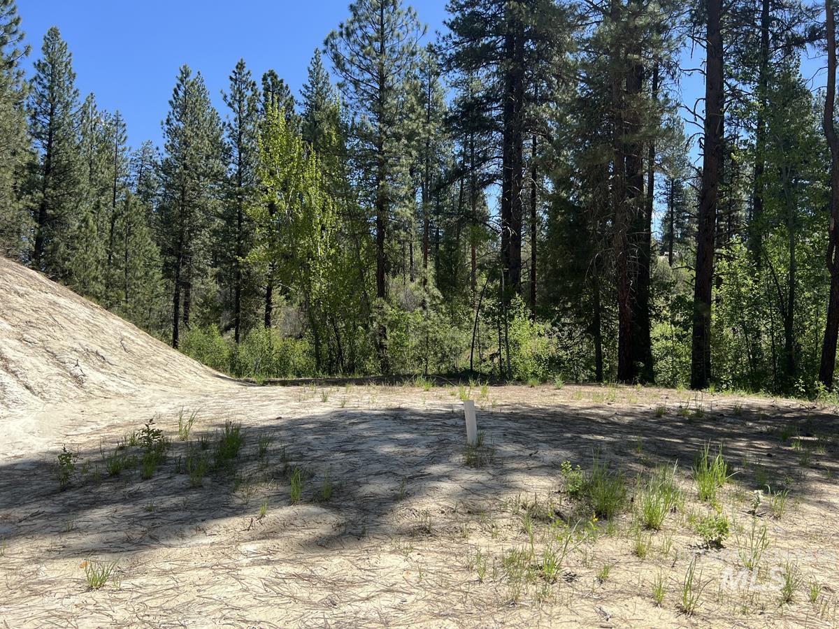 L16 B1 Shaw Gulch Road, Idaho City, Idaho 83631, Land For Sale, Price $279,900,MLS 98983917