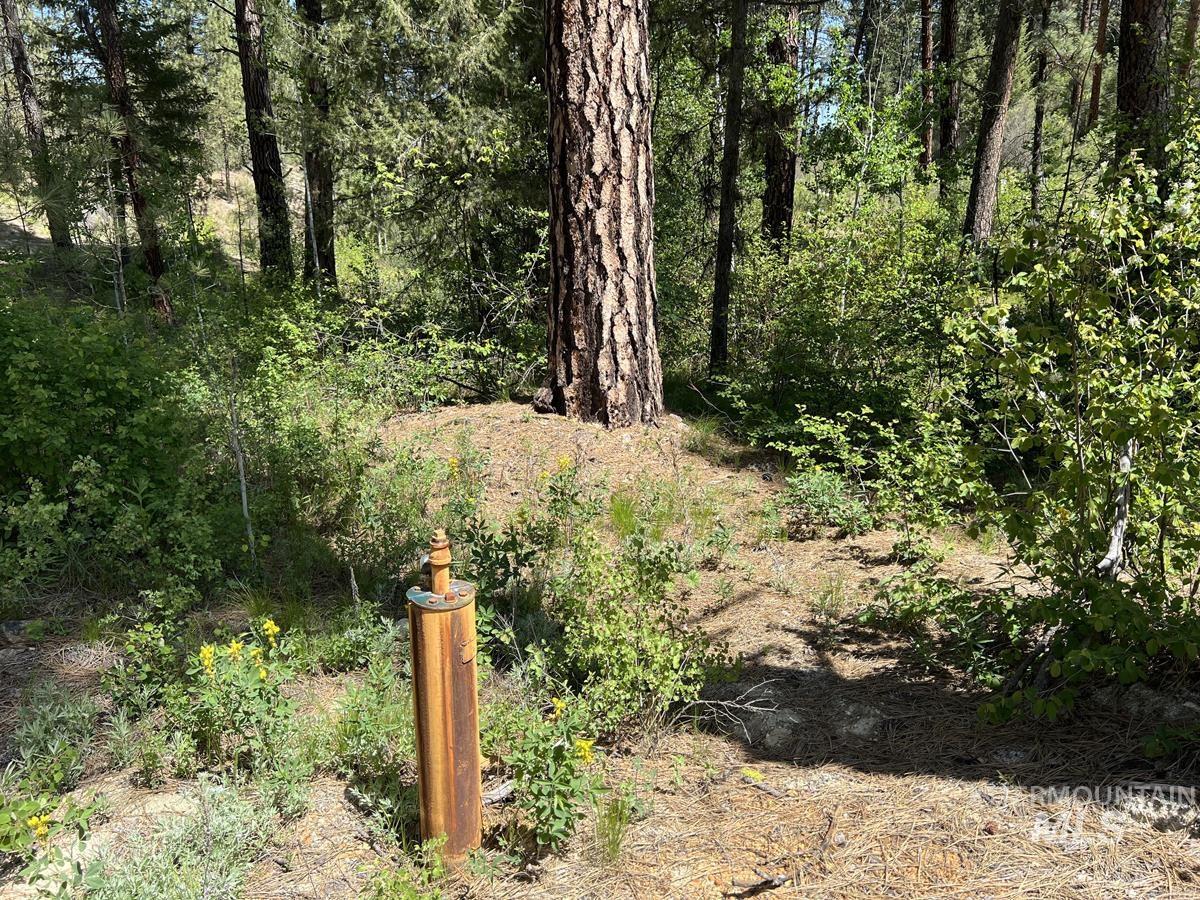 L16 B1 Shaw Gulch Road, Idaho City, Idaho 83631, Land For Sale, Price $279,900,MLS 98983917