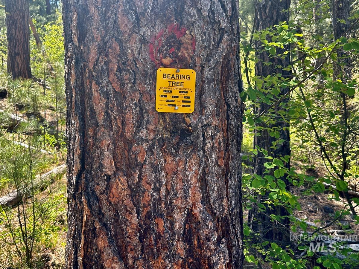 L16 B1 Shaw Gulch Road, Idaho City, Idaho 83631, Land For Sale, Price $279,900,MLS 98983917