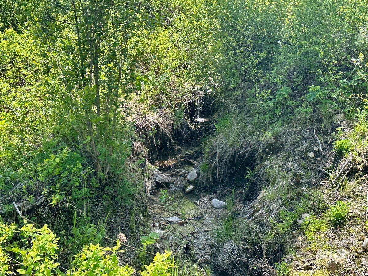 L16 B1 Shaw Gulch Road, Idaho City, Idaho 83631, Land For Sale, Price $279,900,MLS 98983917