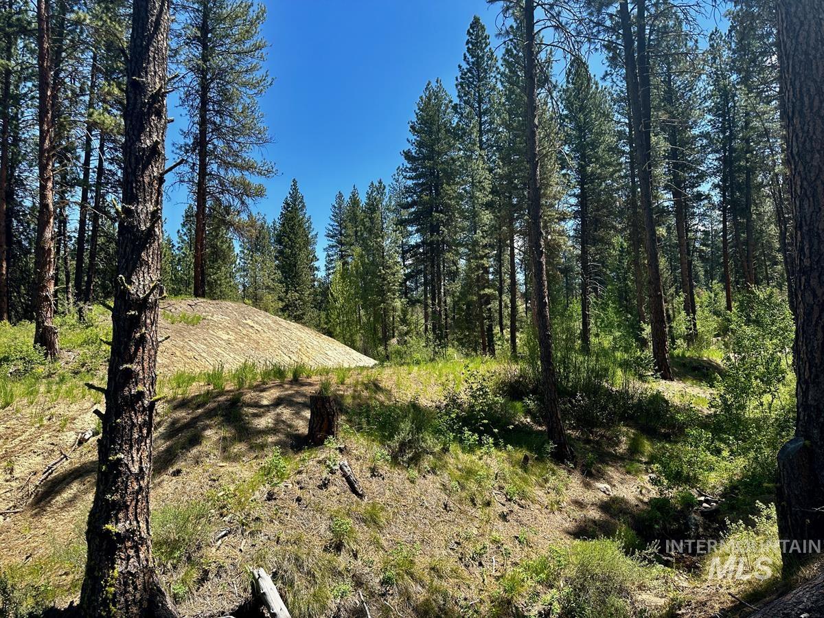 L16 B1 Shaw Gulch Road, Idaho City, Idaho 83631, Land For Sale, Price $279,900,MLS 98983917