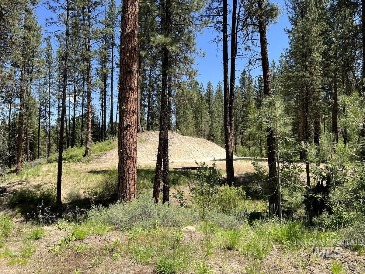 L16 B1 Shaw Gulch Road, Idaho City, Idaho 83631, Land For Sale, Price $279,900,MLS 98983917