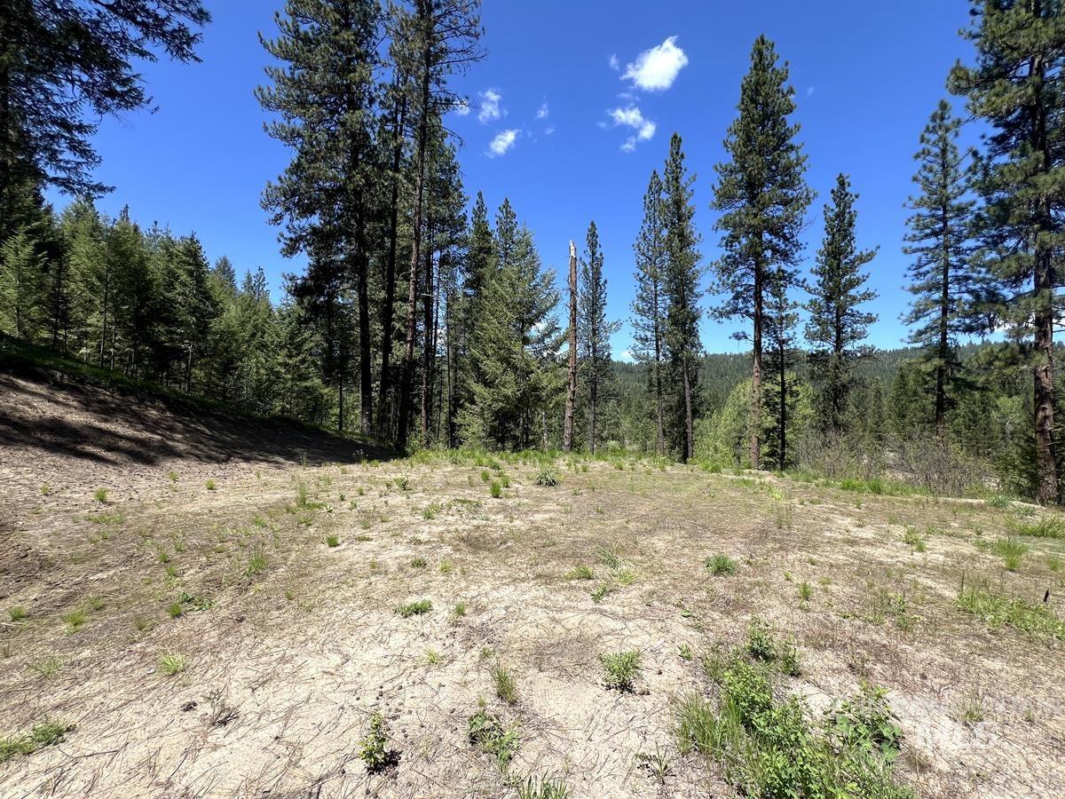 L16 B1 Shaw Gulch Road, Idaho City, Idaho 83631, Land For Sale, Price $279,900,MLS 98983917