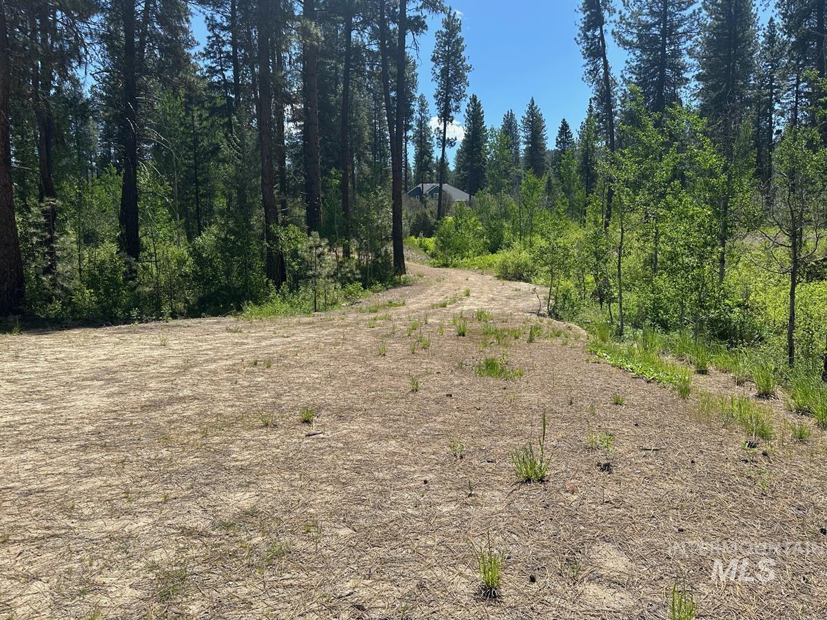 L16 B1 Shaw Gulch Road, Idaho City, Idaho 83631, Land For Sale, Price $279,900,MLS 98983917