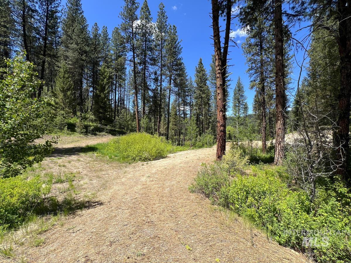 L16 B1 Shaw Gulch Road, Idaho City, Idaho 83631, Land For Sale, Price $279,900,MLS 98983917
