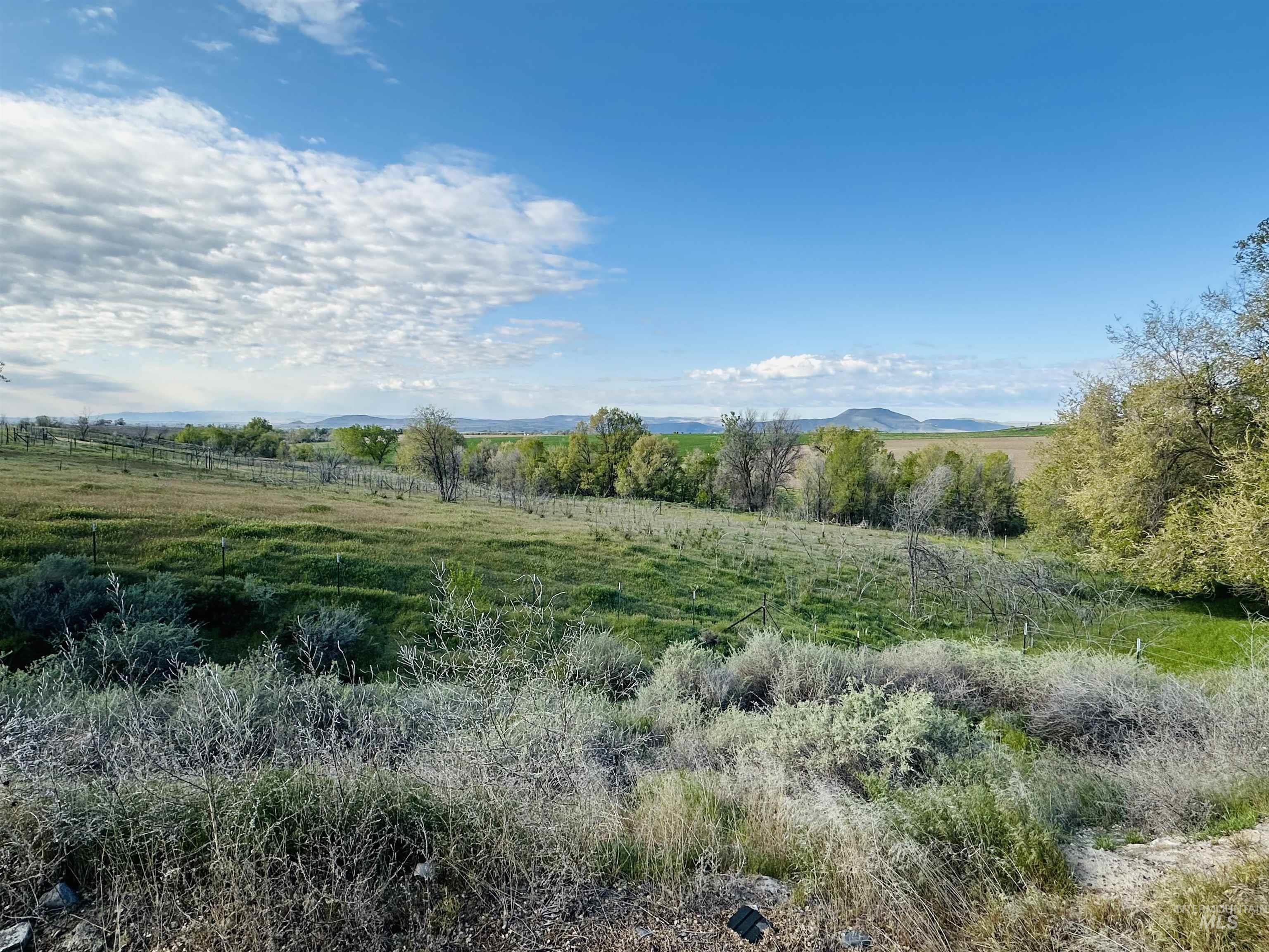 1049 Grand Ave, Nyssa, Oregon 97913, 5 Bedrooms, 3 Bathrooms, Residential For Sale, Price $995,000, 98983921