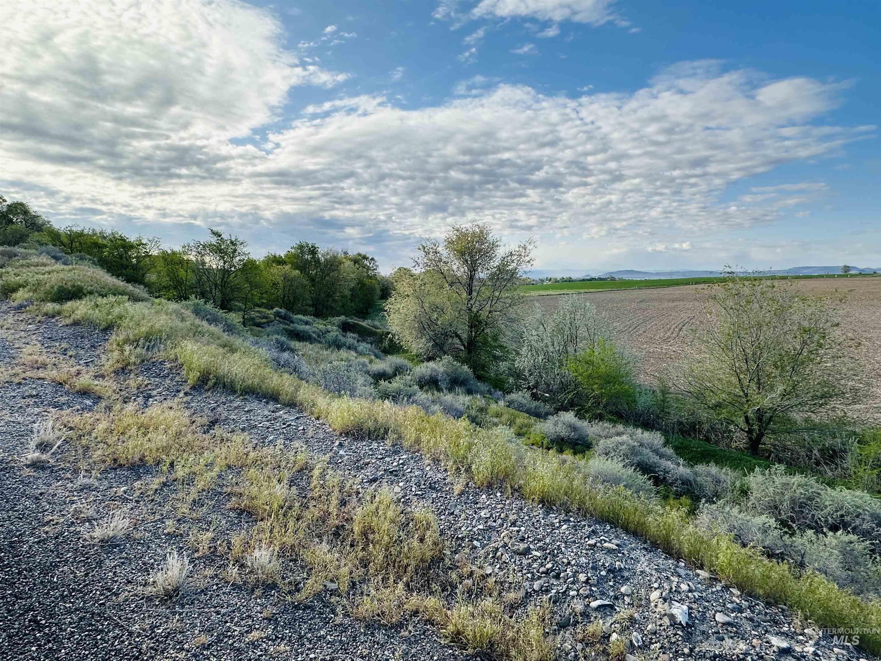 1049 Grand Ave, Nyssa, Oregon 97913, 5 Bedrooms, 3 Bathrooms, Residential For Sale, Price $995,000, 98983921